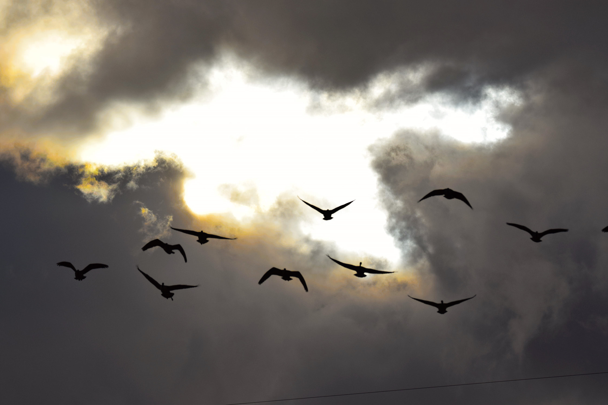 Nikon D3300 sample photo. From above *;) photography