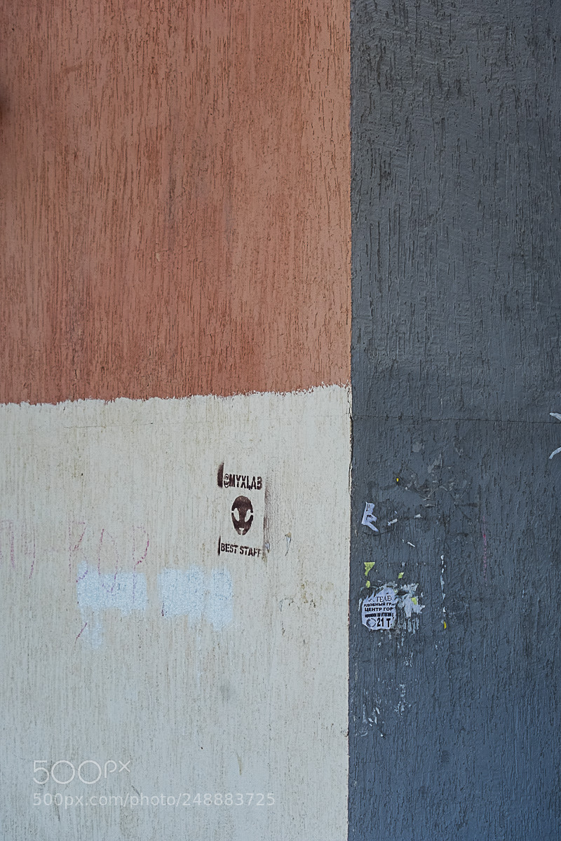 Fujifilm X-T20 sample photo. _dsf1937 2018.jpg photography