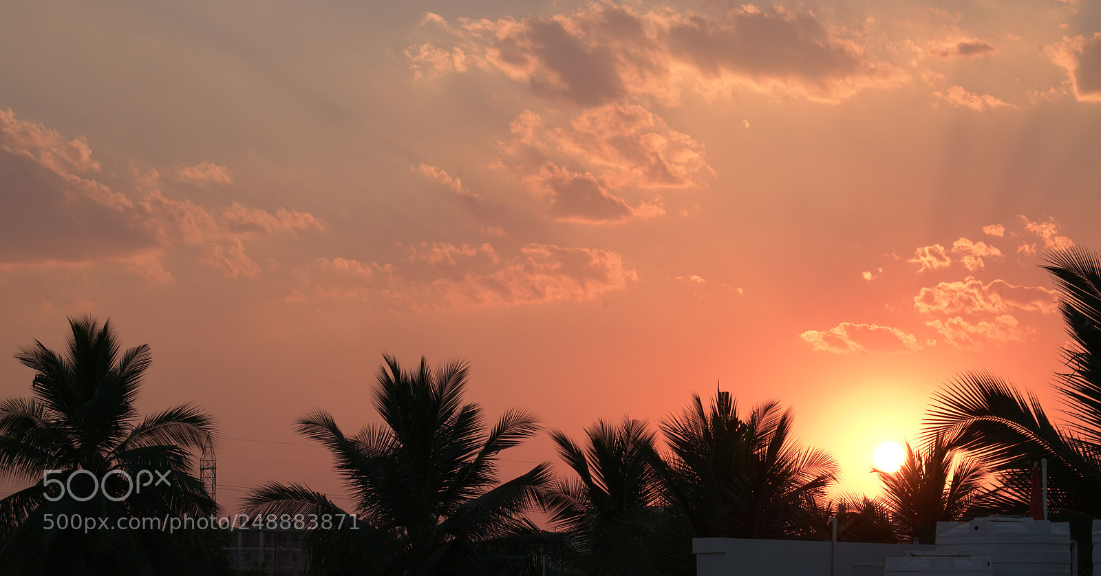 Sony a7R II sample photo. Sunset photography