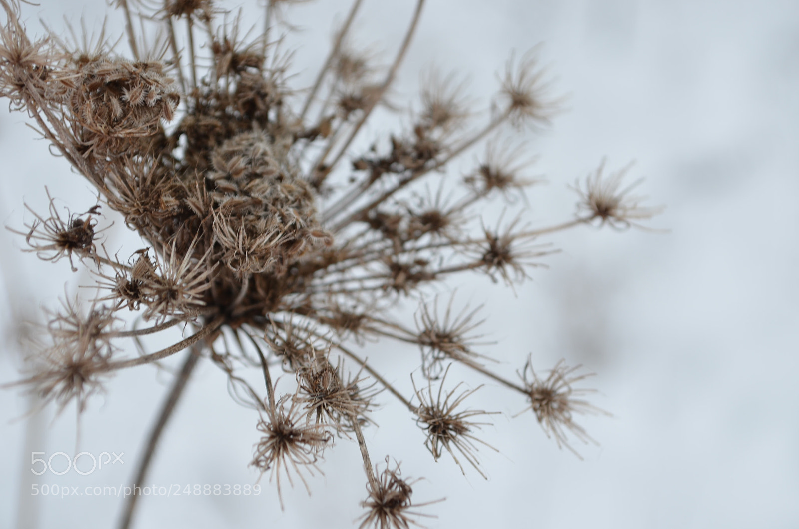 Nikon D5100 sample photo. Decay photography