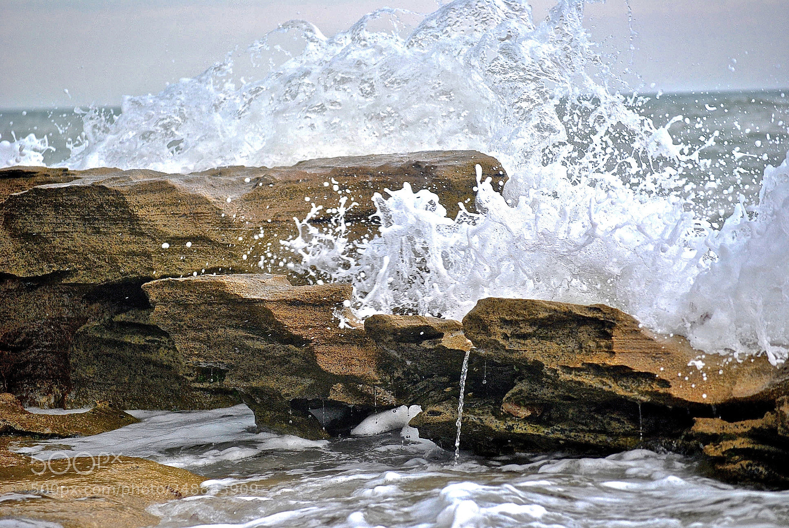 Nikon D3000 sample photo. Make a splash in photography