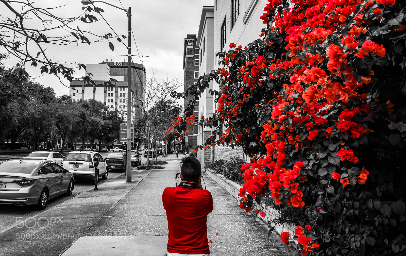 Nikon D810 sample photo. Downtown photography