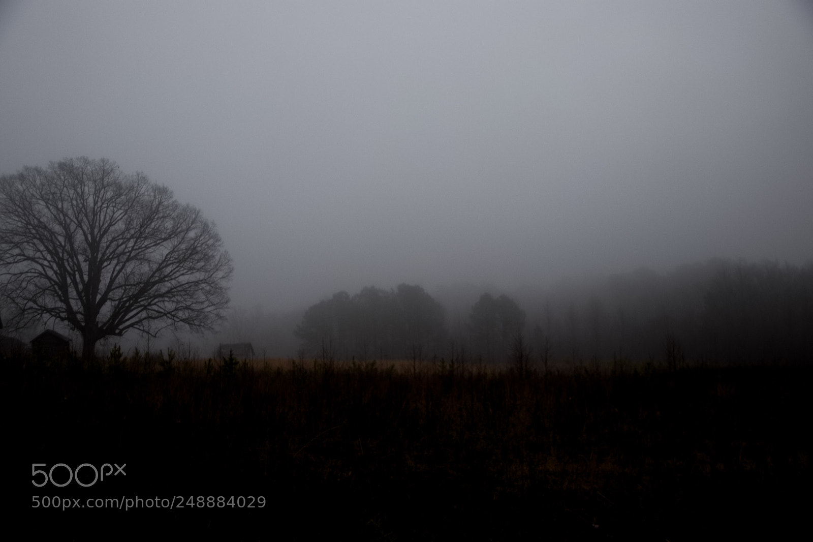 Canon EOS 80D sample photo. Early morning fog photography
