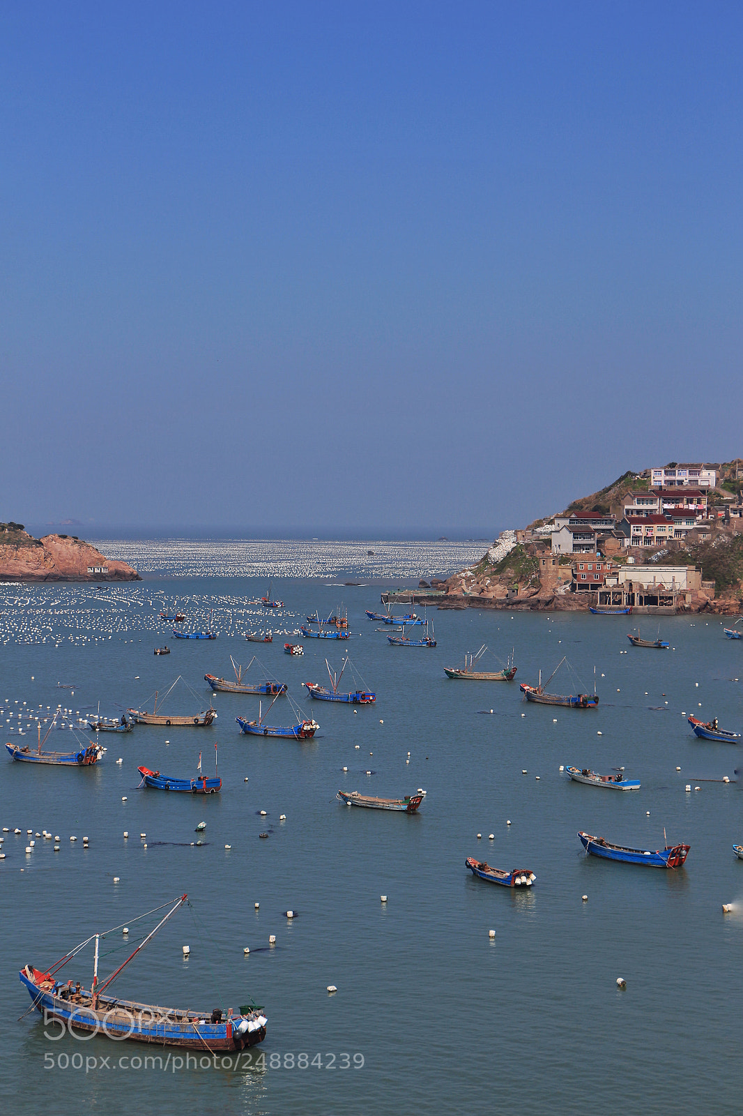 Canon EOS 700D (EOS Rebel T5i / EOS Kiss X7i) sample photo. 与世无争 photography