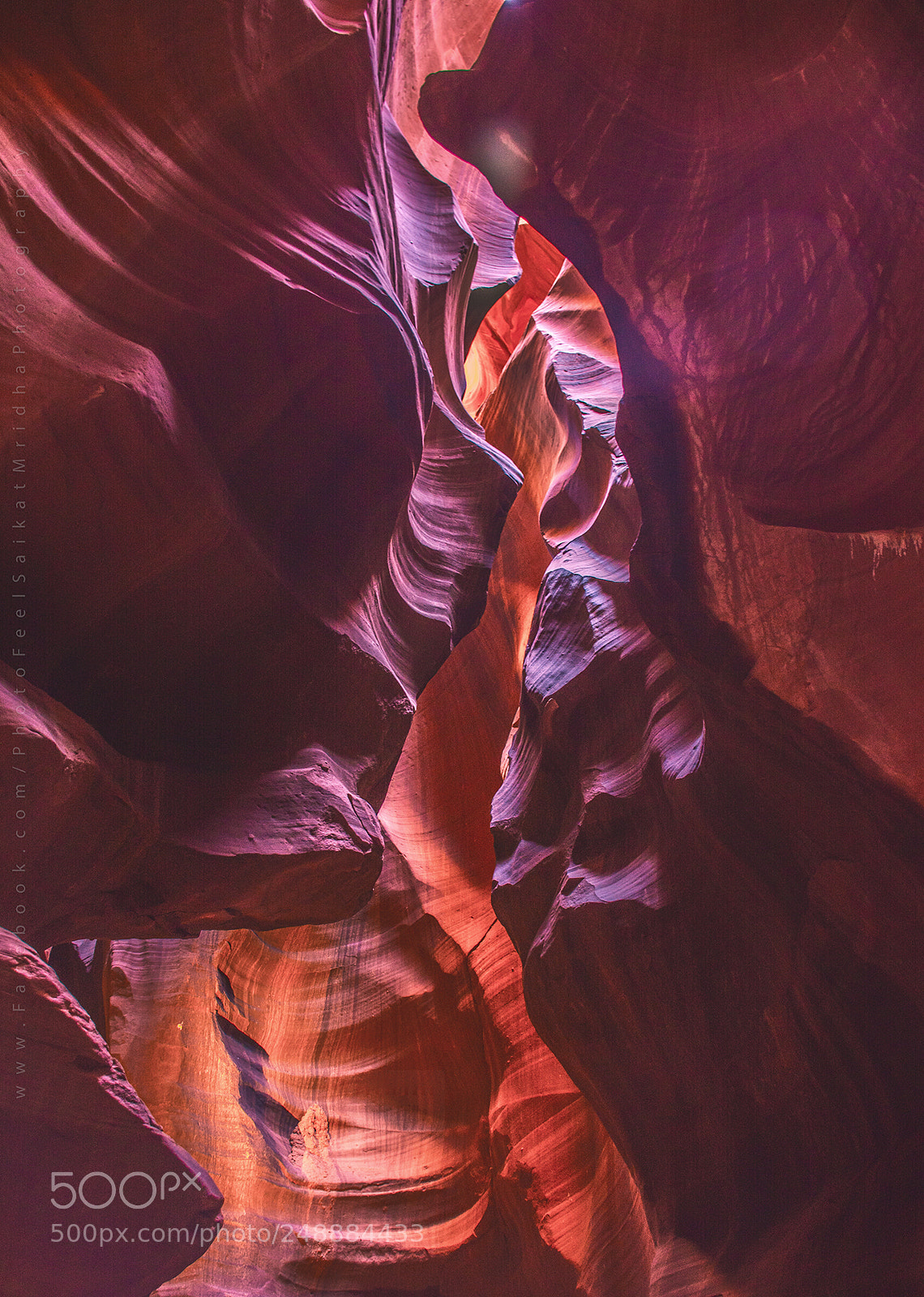 Nikon D7100 sample photo. Nature's paint photography