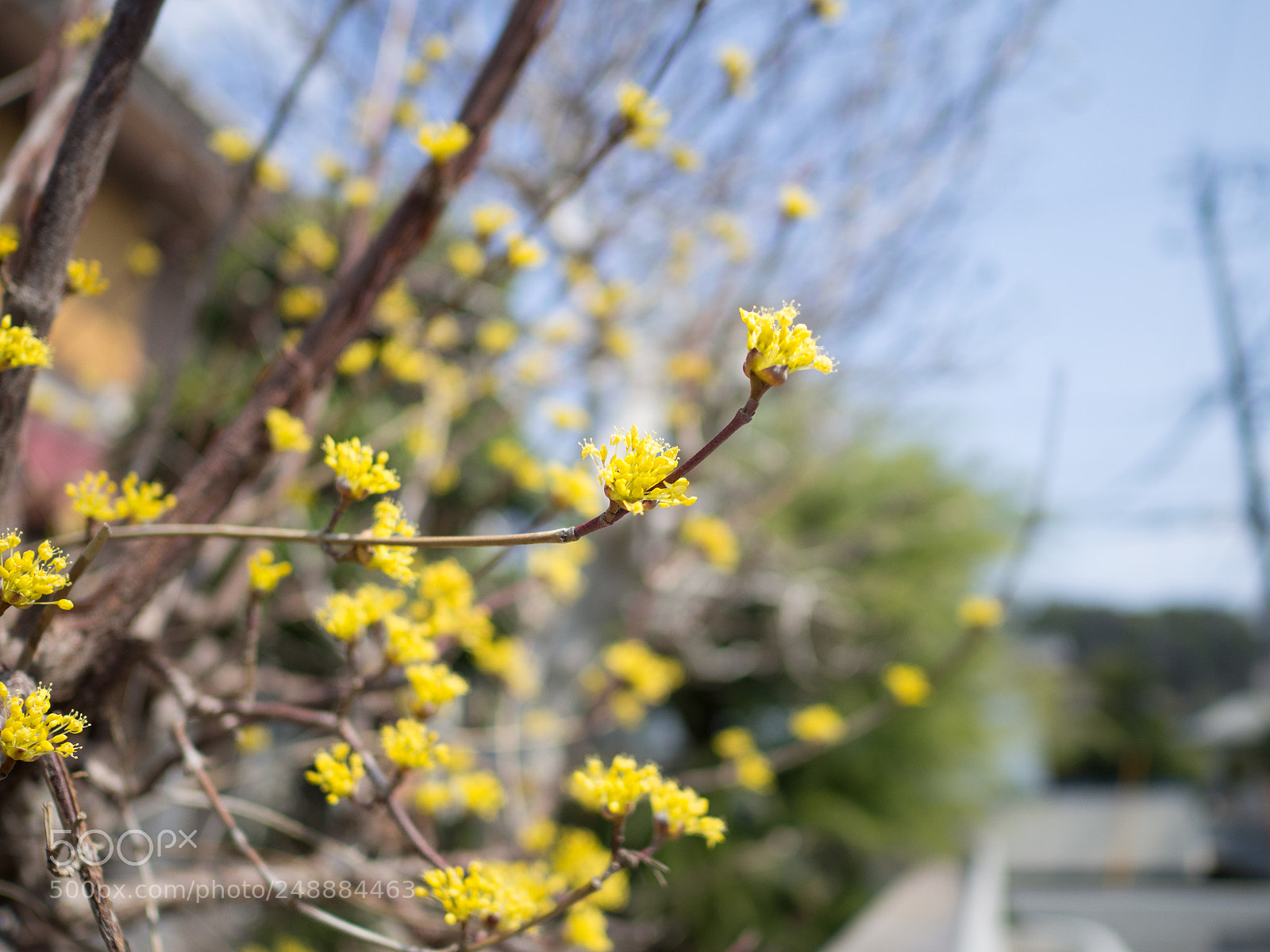 Olympus OM-D E-M10 II sample photo. Untitled photography
