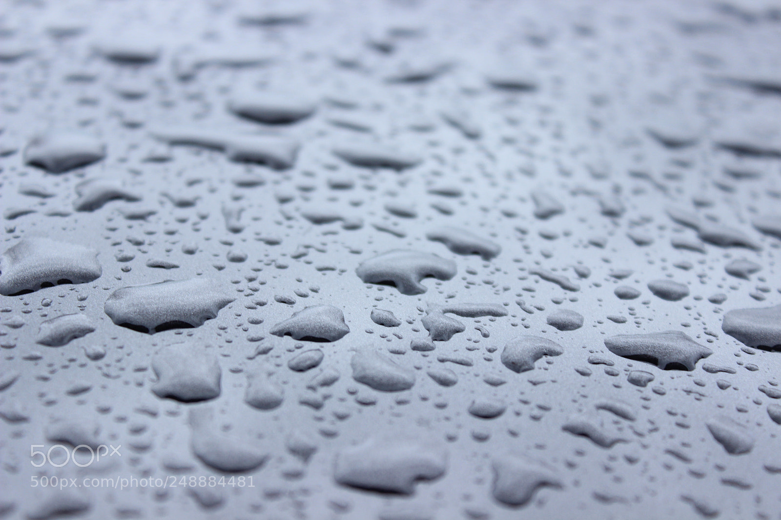 Canon EOS 600D (Rebel EOS T3i / EOS Kiss X5) sample photo. Rain droplets on a photography