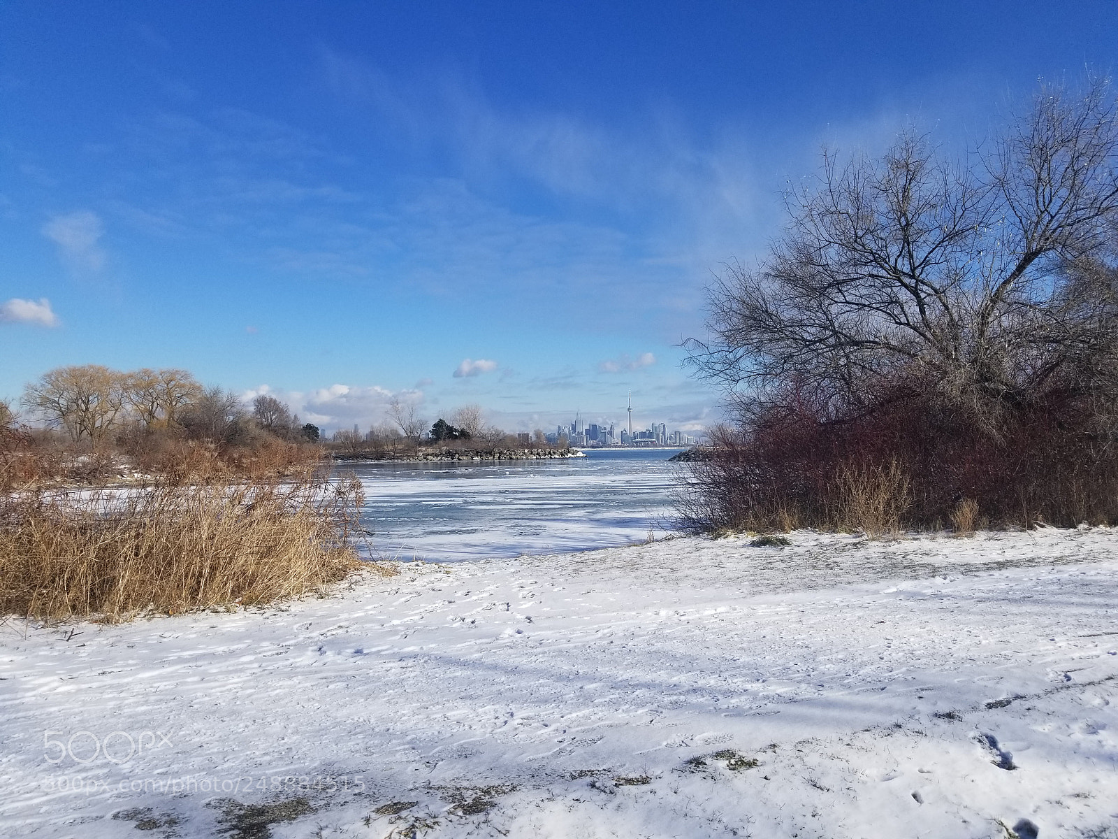 Samsung Galaxy S8 sample photo. Untitled photography
