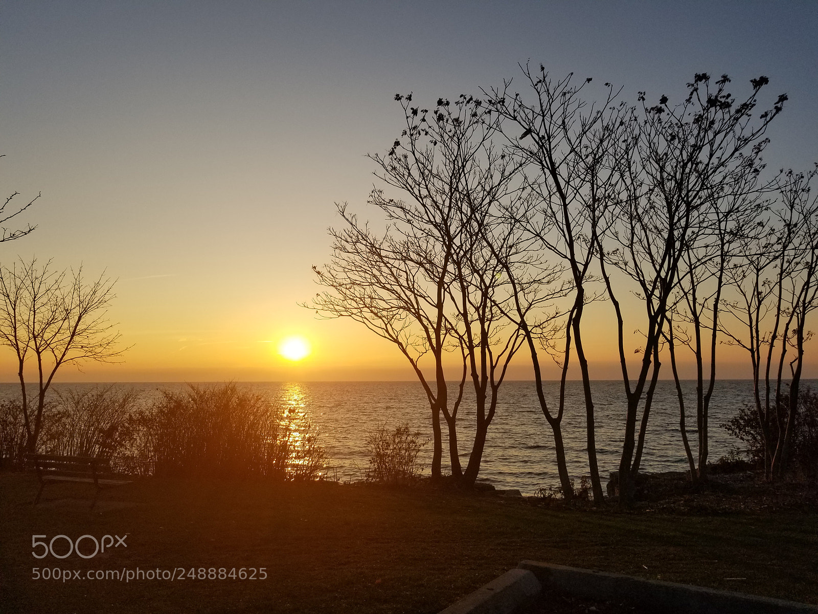 Samsung Galaxy S8 sample photo. Untitled photography