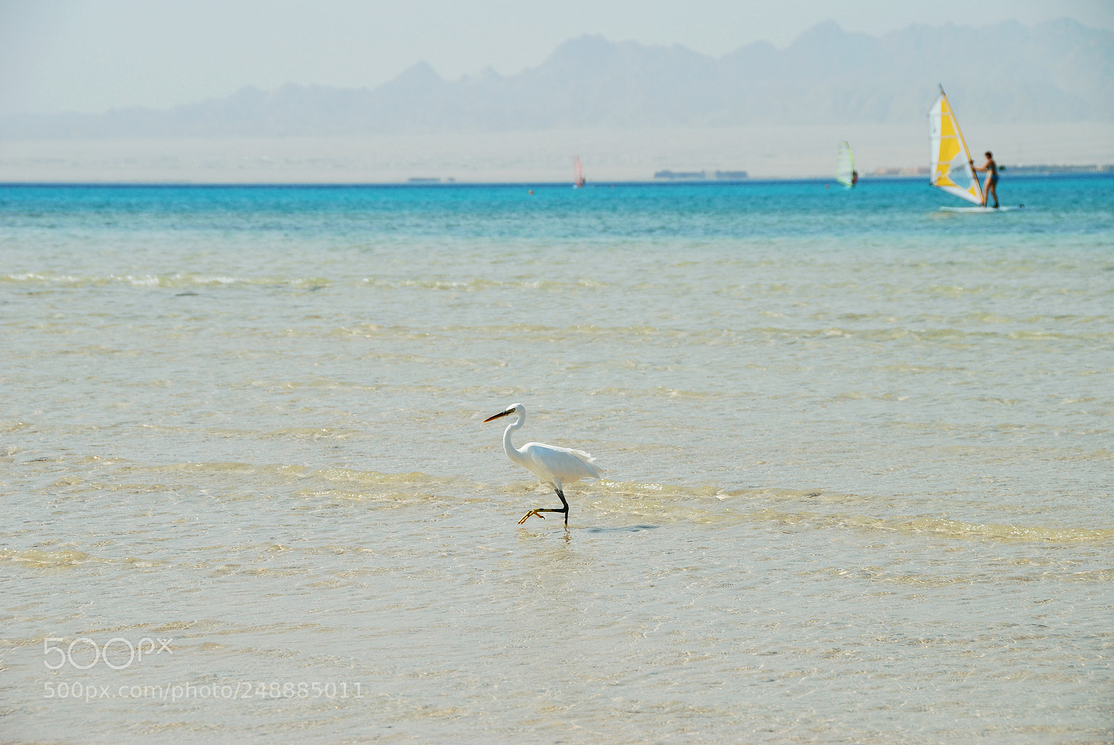 Nikon D80 sample photo. Soma bay. photography