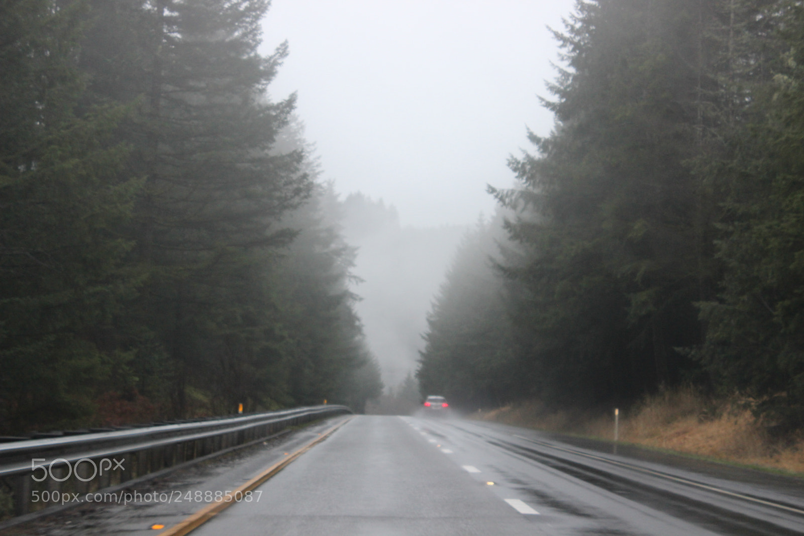 Canon EOS 600D (Rebel EOS T3i / EOS Kiss X5) sample photo. Foggy oregon road in photography