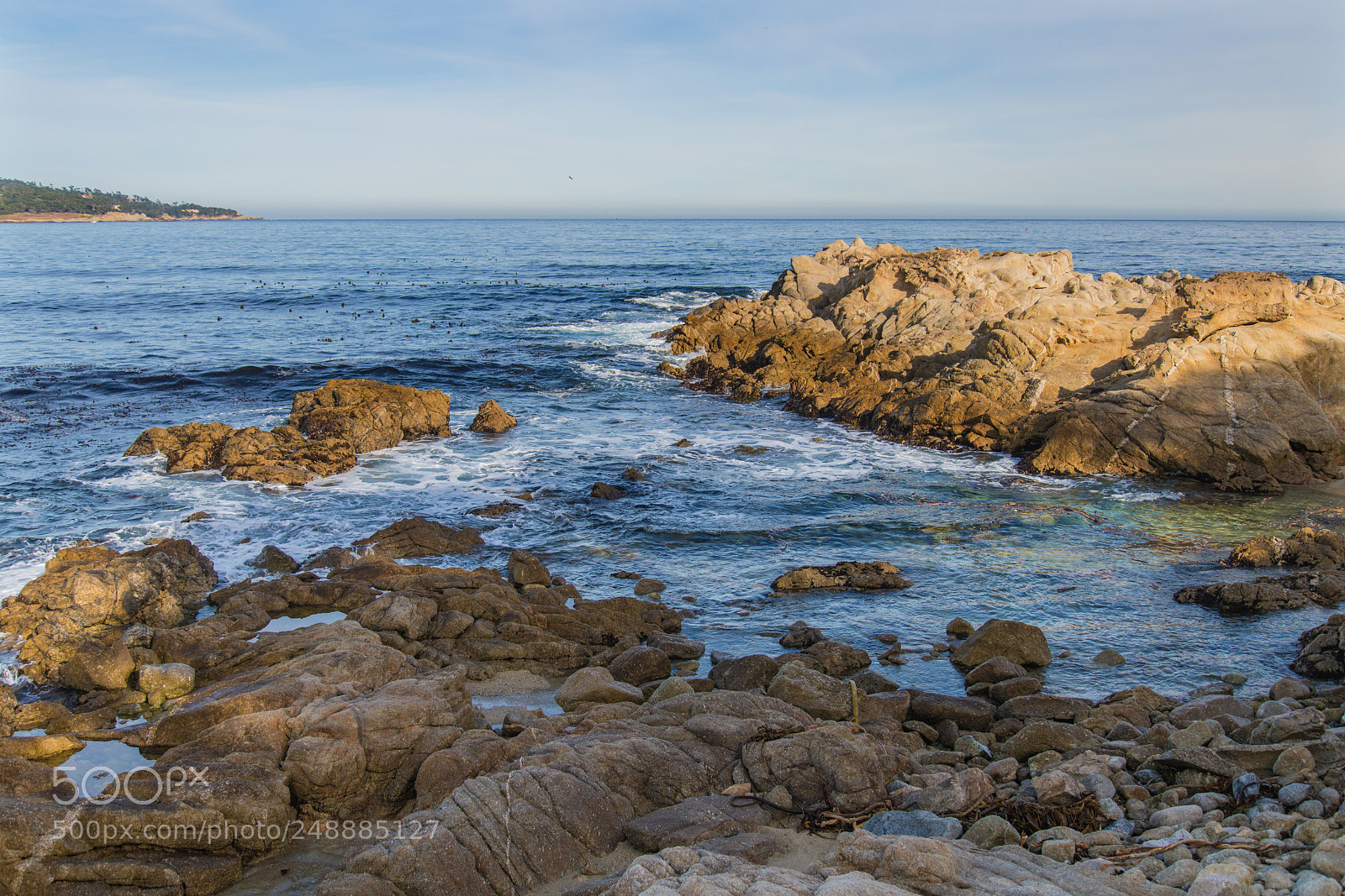 Nikon D850 sample photo. Monterey california photography