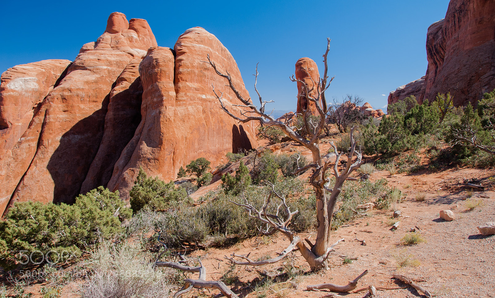 Nikon D200 sample photo. Arches photography