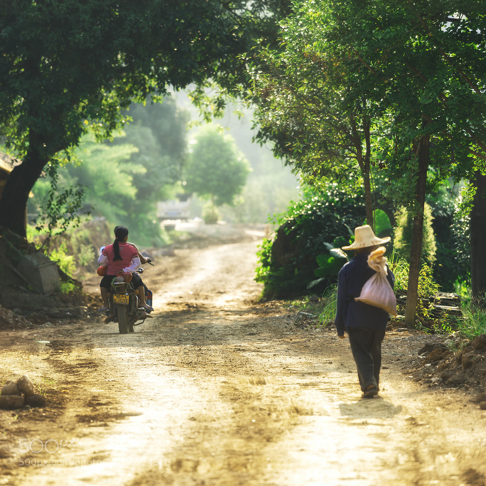 Nikon D810 sample photo. Road photography