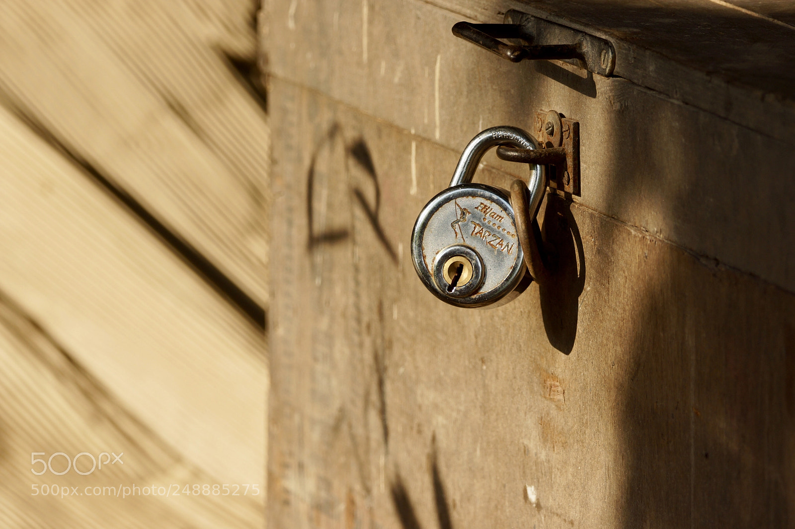 Sony SLT-A77 sample photo. Fullsizeoutput b photography