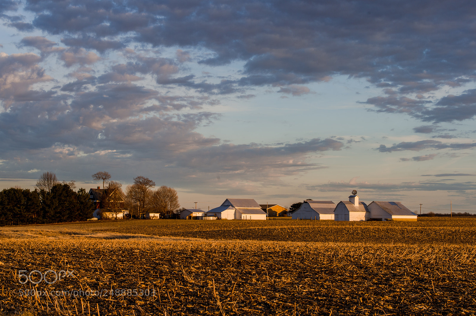 Nikon Df sample photo. Farm photography