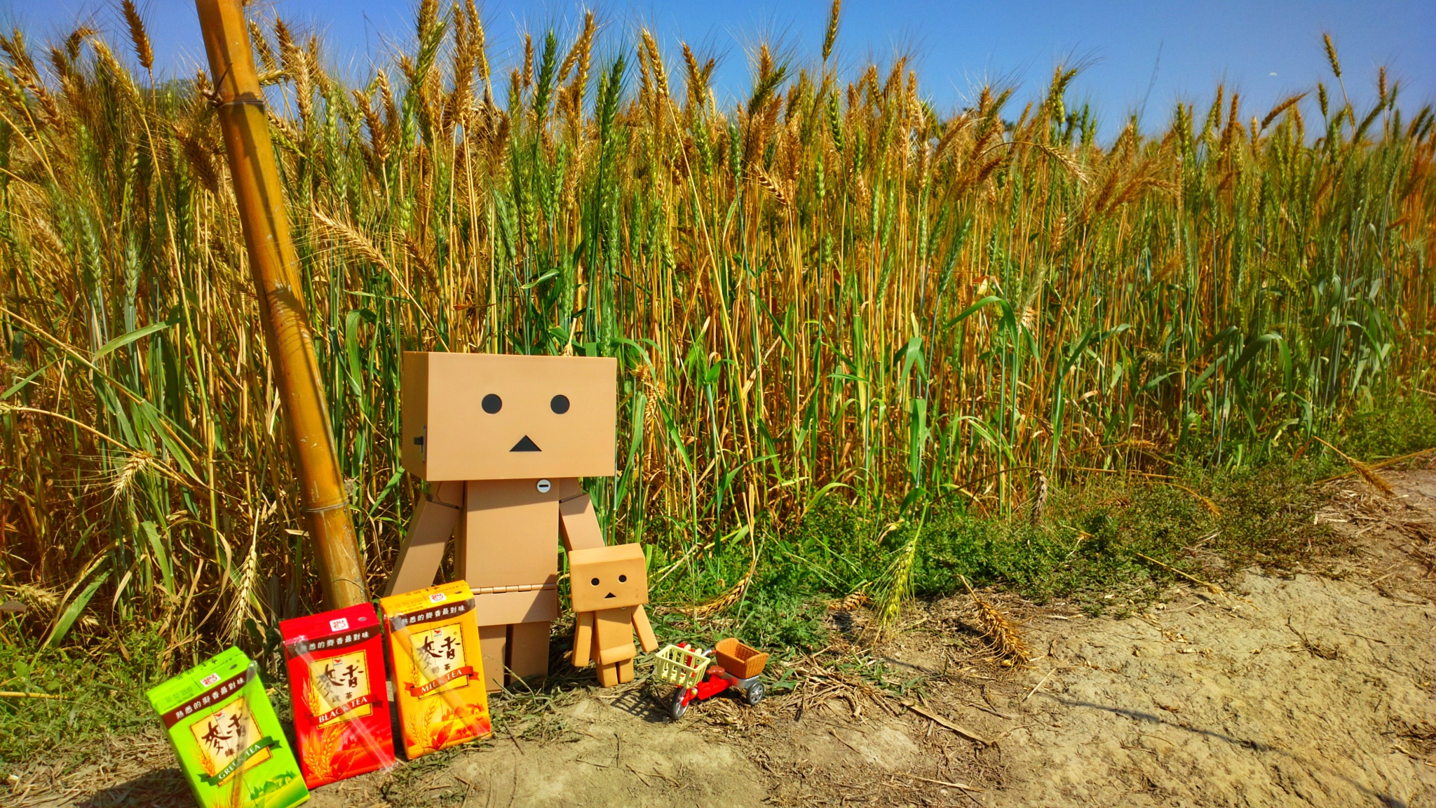 Nokia 808 PureView sample photo