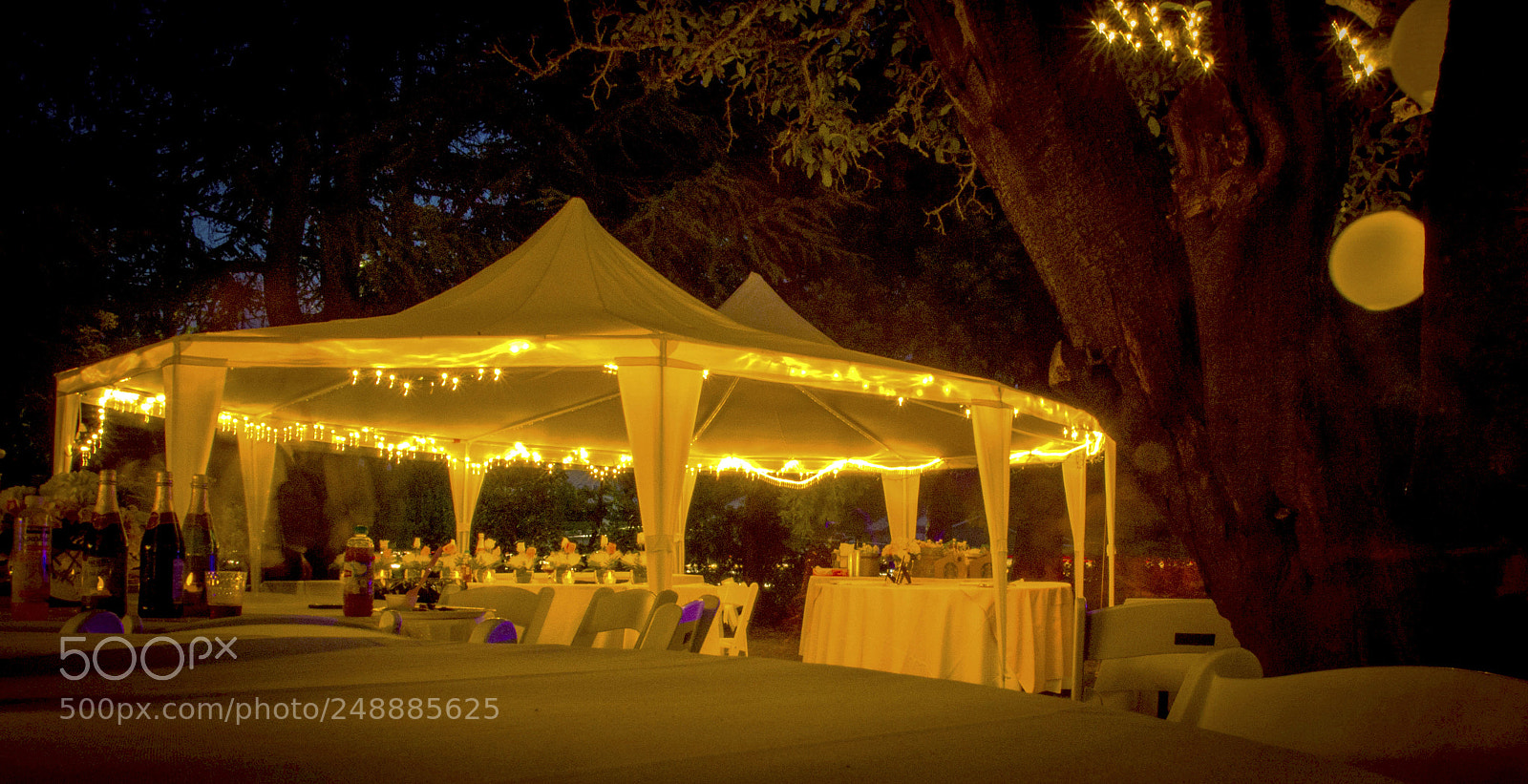 Nikon D3100 sample photo. Wedding tent photography