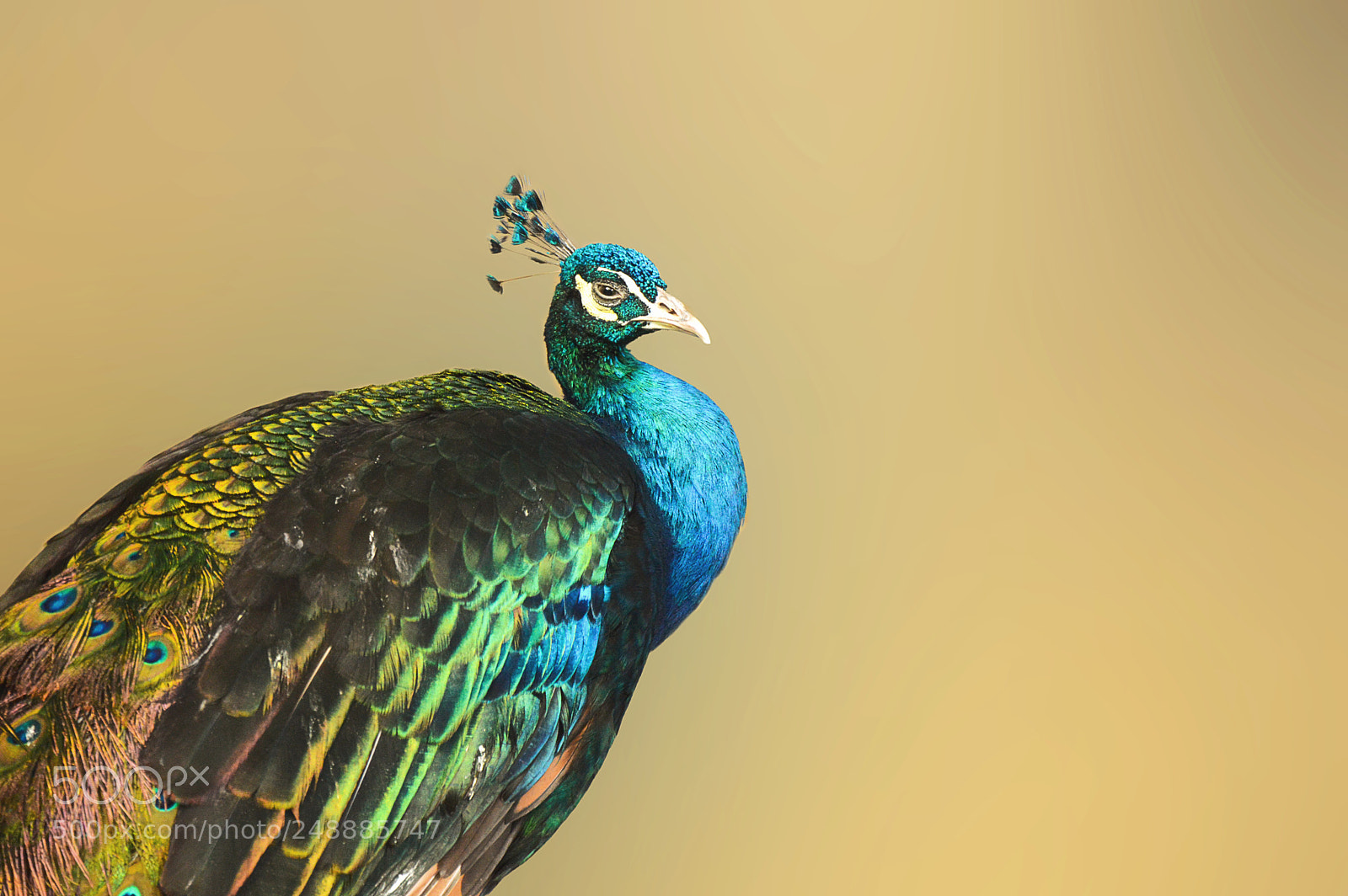 Nikon D3200 sample photo. Gorgeous photography