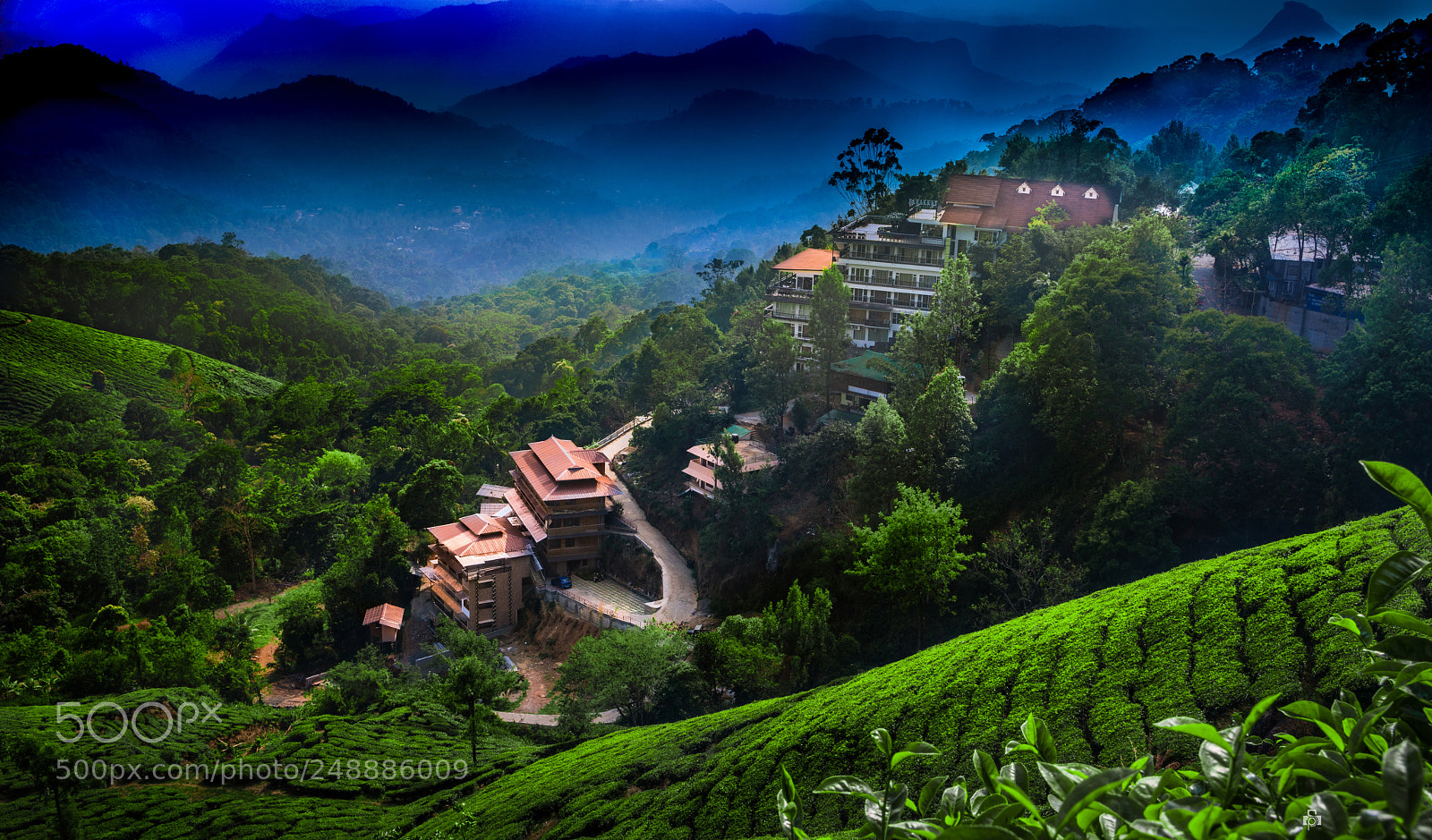 Sony a7R II sample photo. Munnar photography