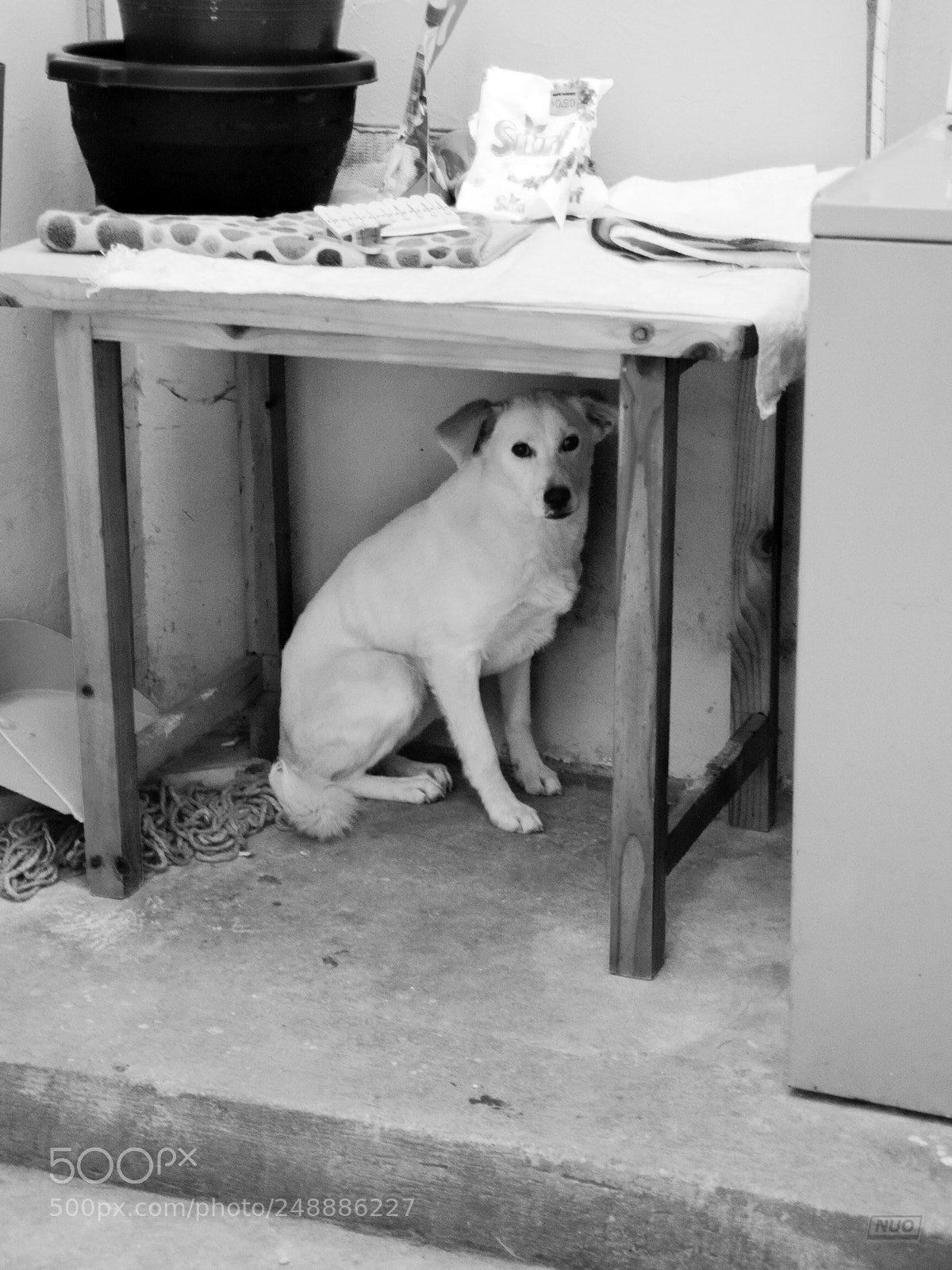 Nikon D5200 sample photo. Luna 4-6 photography
