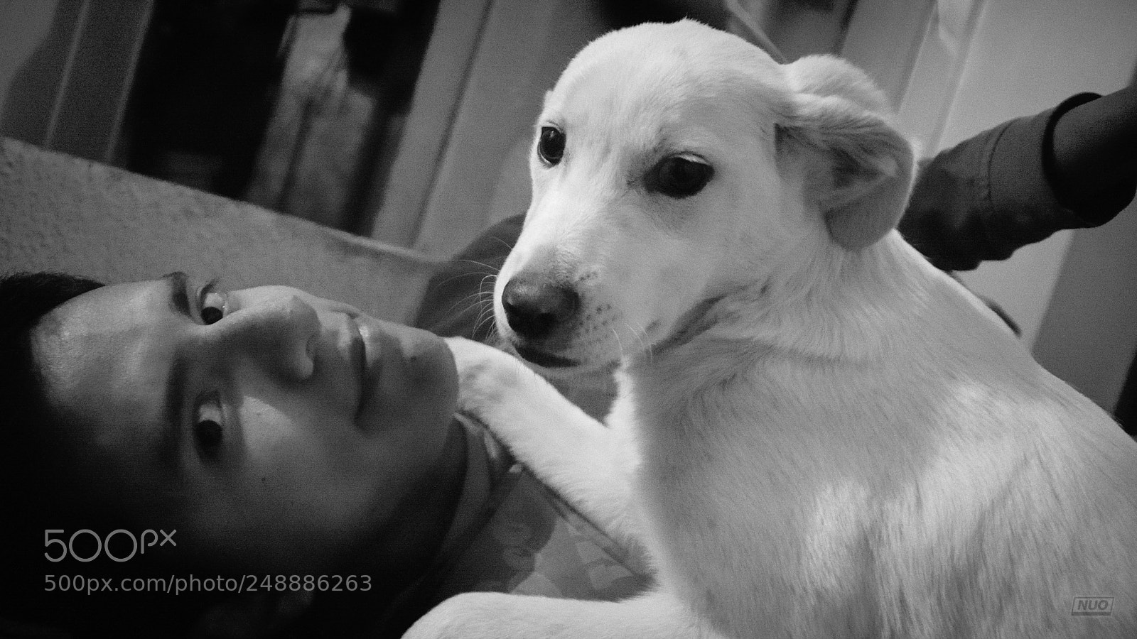 Nikon D5200 sample photo. Luna 4-6 photography