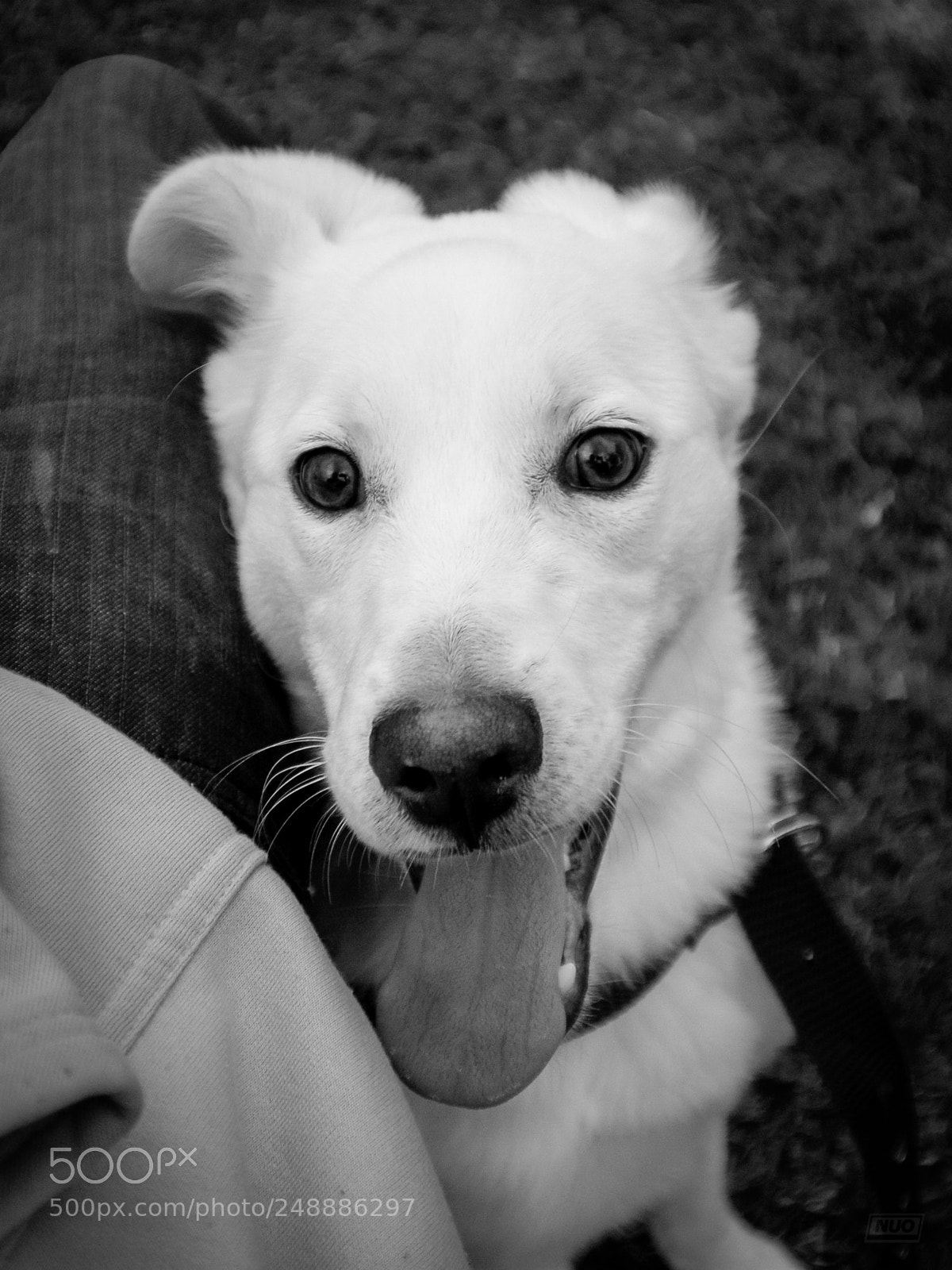 Nikon D5200 sample photo. Luna 4-6 photography