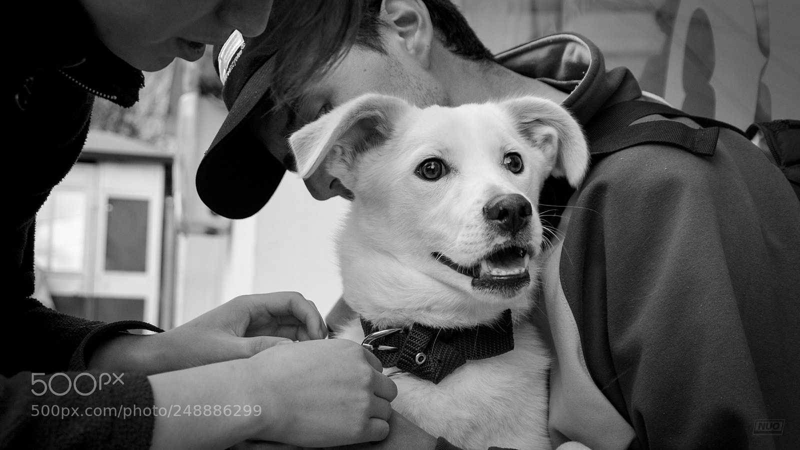 Nikon D5200 sample photo. Luna 4-6 photography