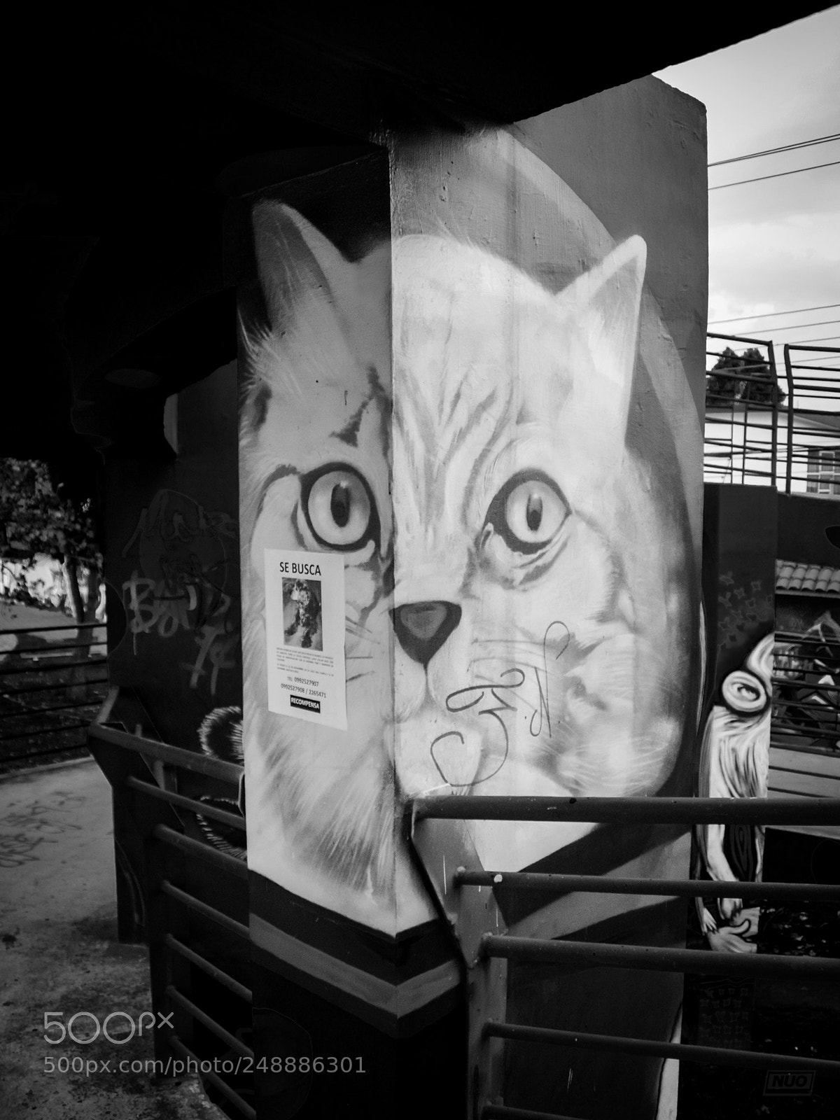 Nikon D5200 sample photo. Luna 4-6 photography