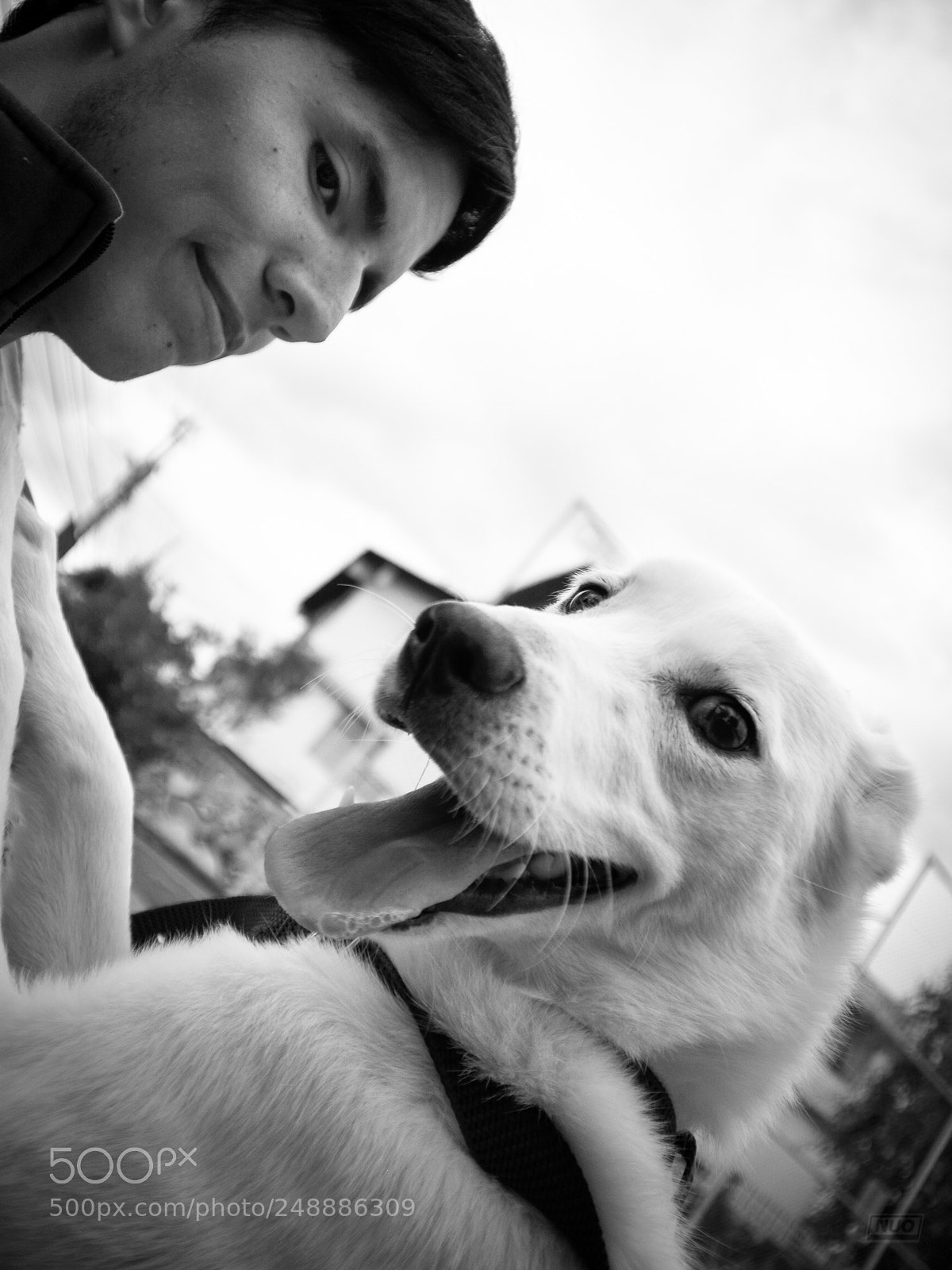 Nikon D5200 sample photo. Luna 4-6 photography