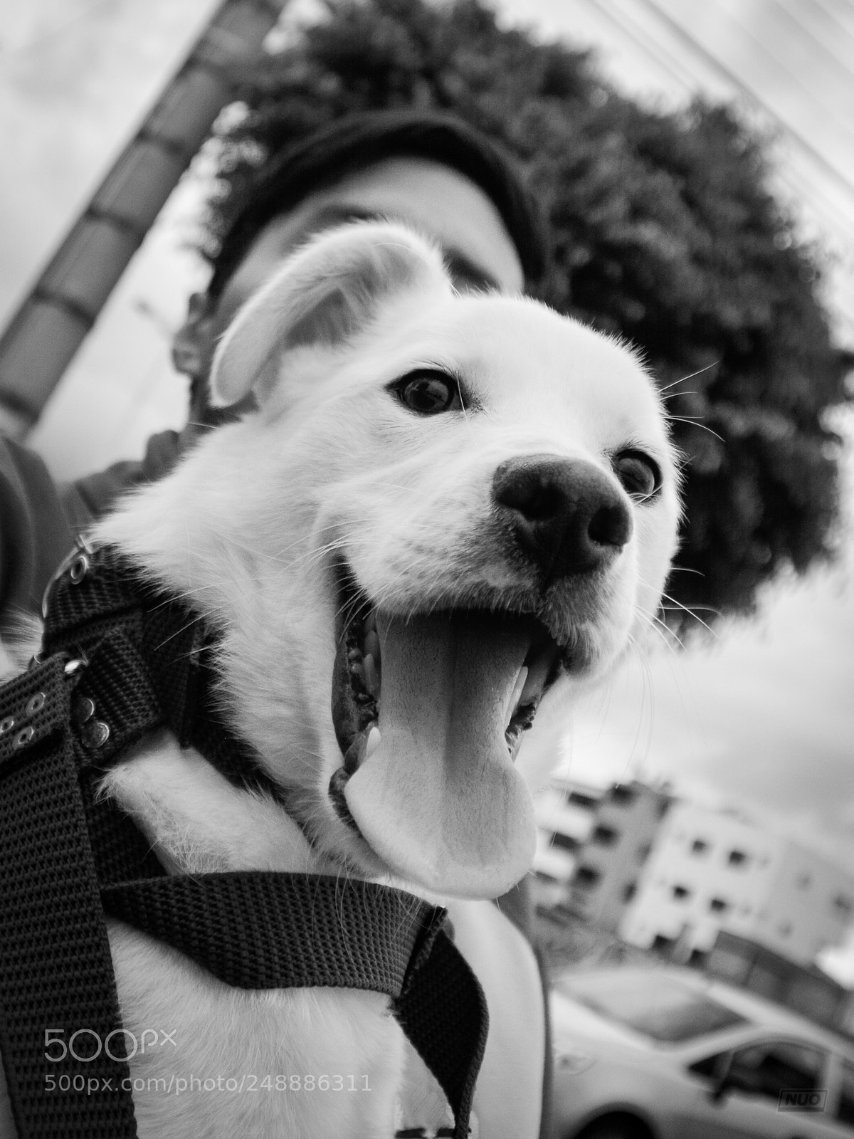 Nikon D5200 sample photo. Luna 4-6 photography