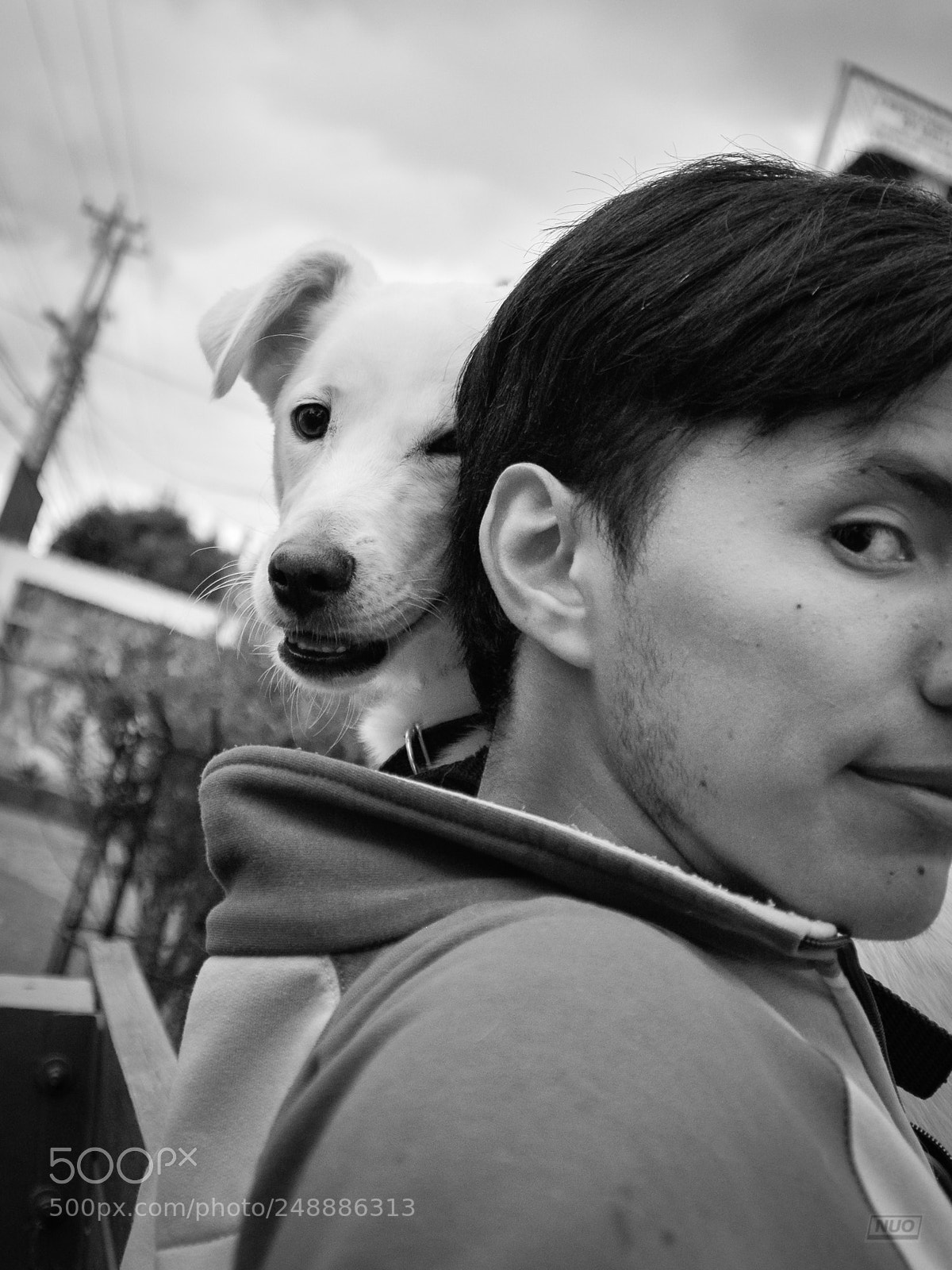 Nikon D5200 sample photo. Luna 4-6 photography