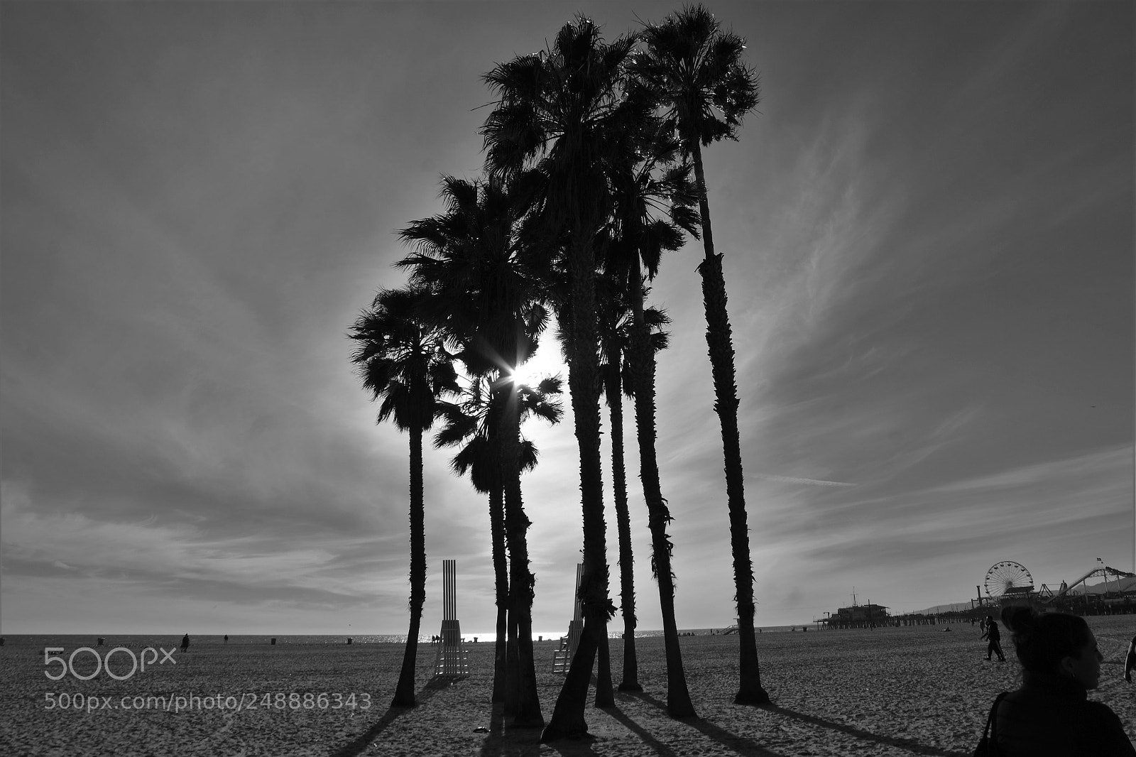 Pentax K-70 sample photo. Cold day in santamonica photography