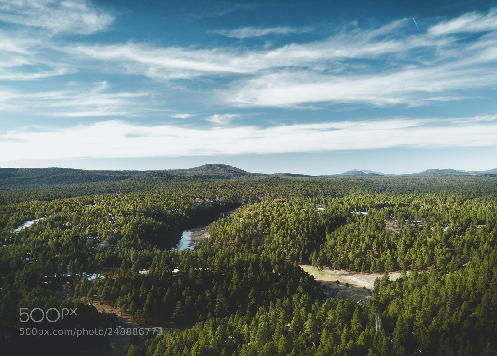 DJI FC220 sample photo. Beyond the pines photography