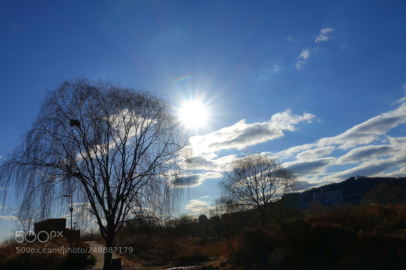 Sony Cyber-shot DSC-RX10 III sample photo. Untitled photography