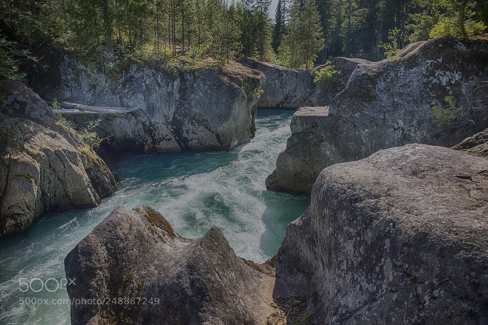 Nikon D610 sample photo. Cheakamus river photography
