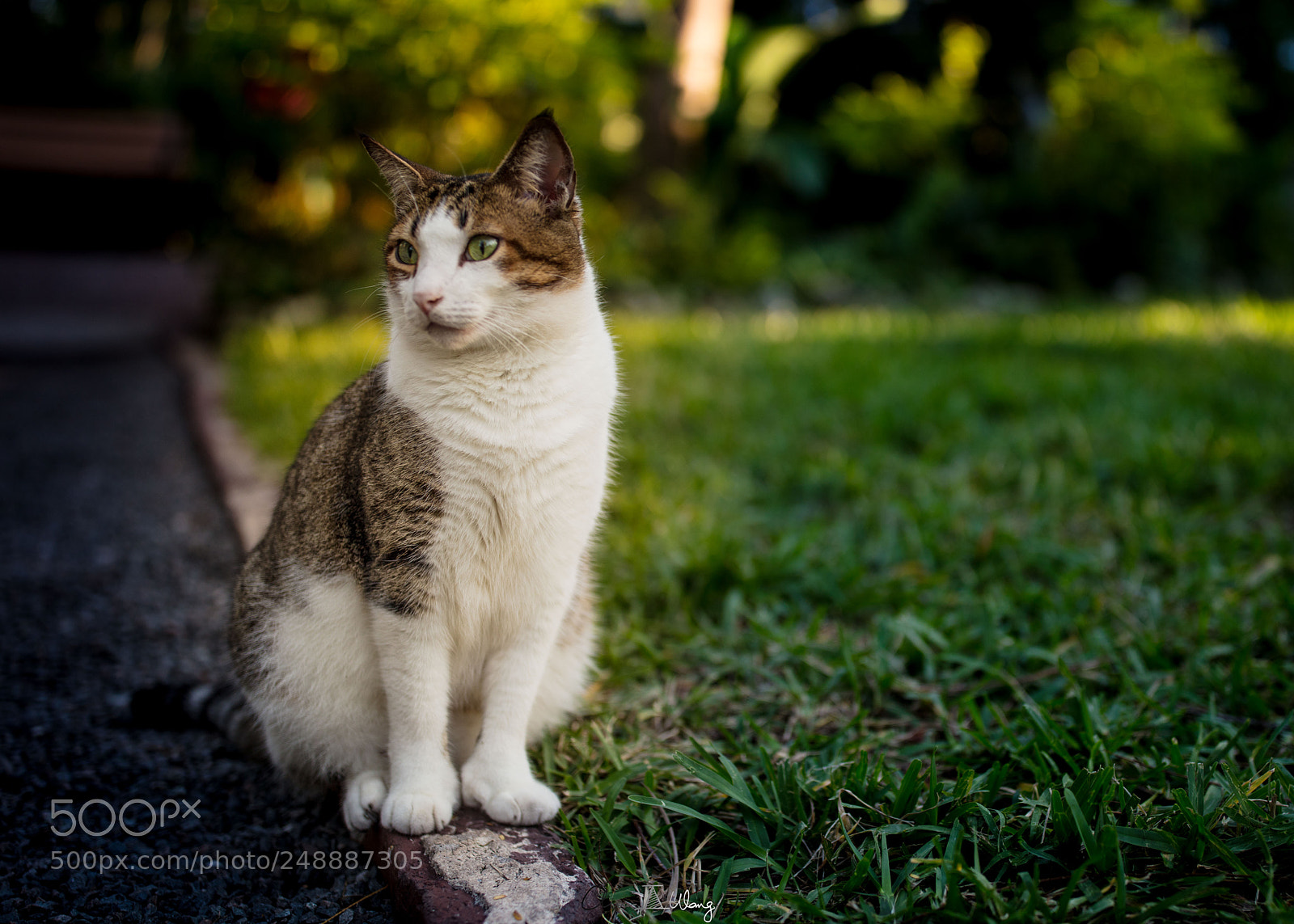 Canon EOS 5DS R sample photo. Thinking photography