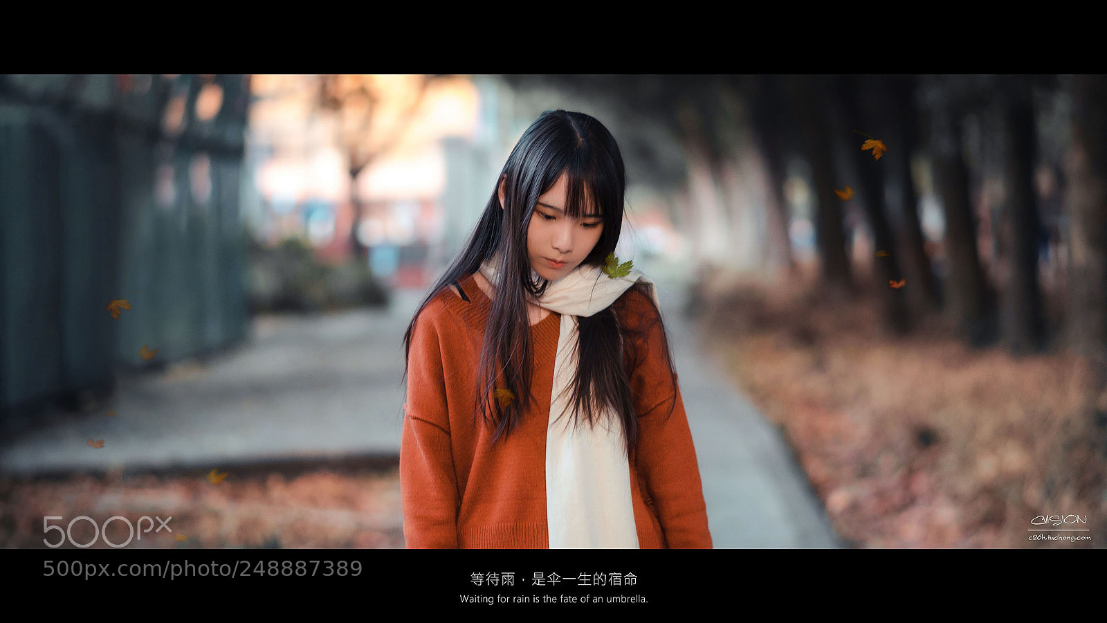 Sony a6300 sample photo. Waiting for rain photography