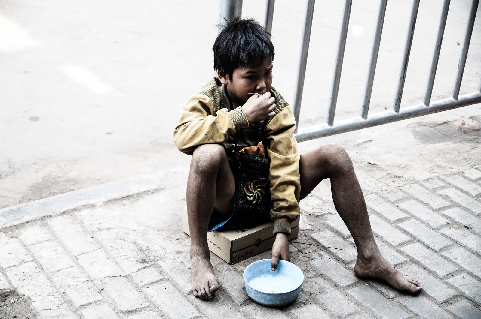 Nikon D300 sample photo. Talvel loas photography
