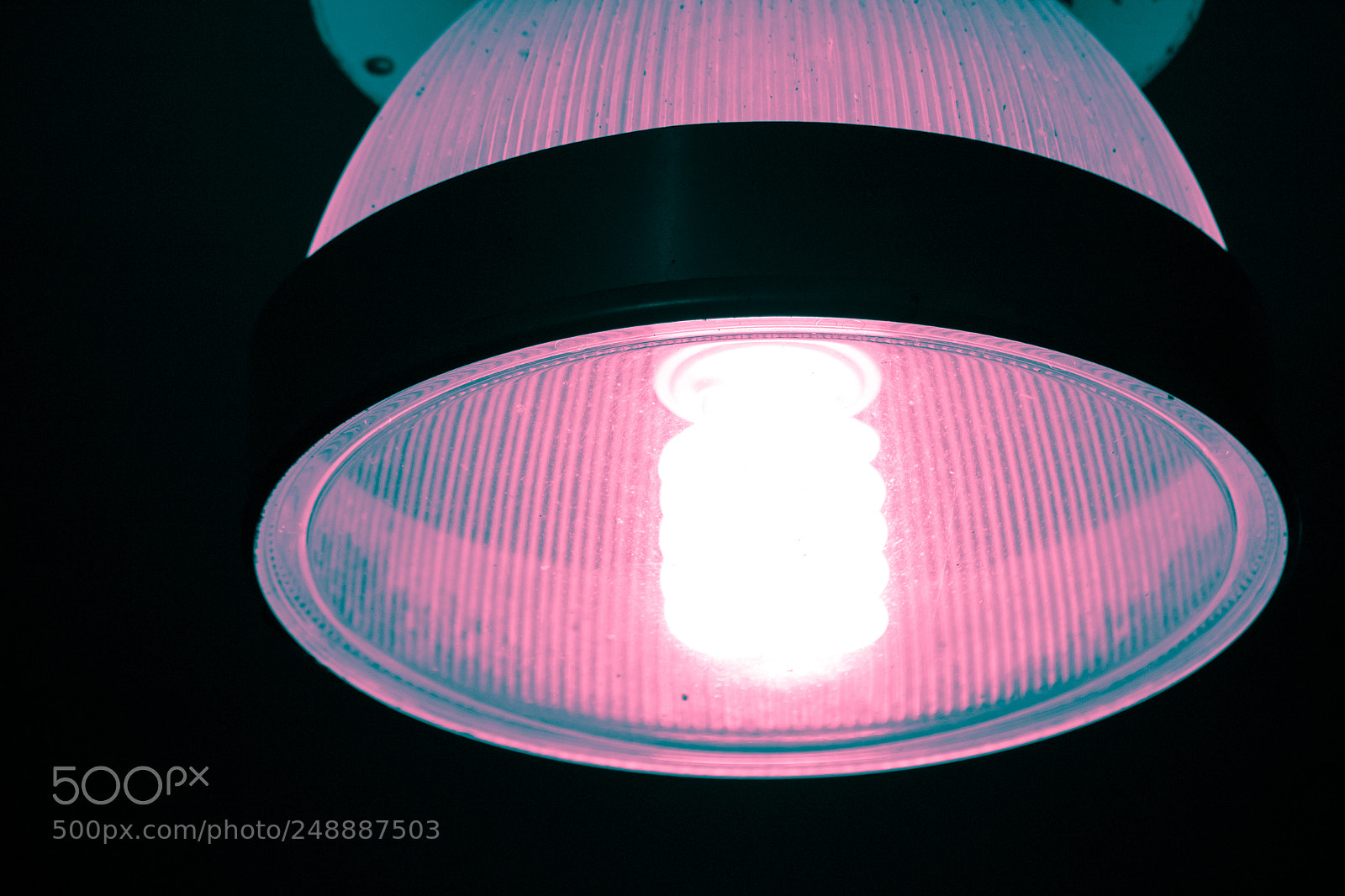 Canon EOS 100D (EOS Rebel SL1 / EOS Kiss X7) sample photo. Jelly bulb i photography