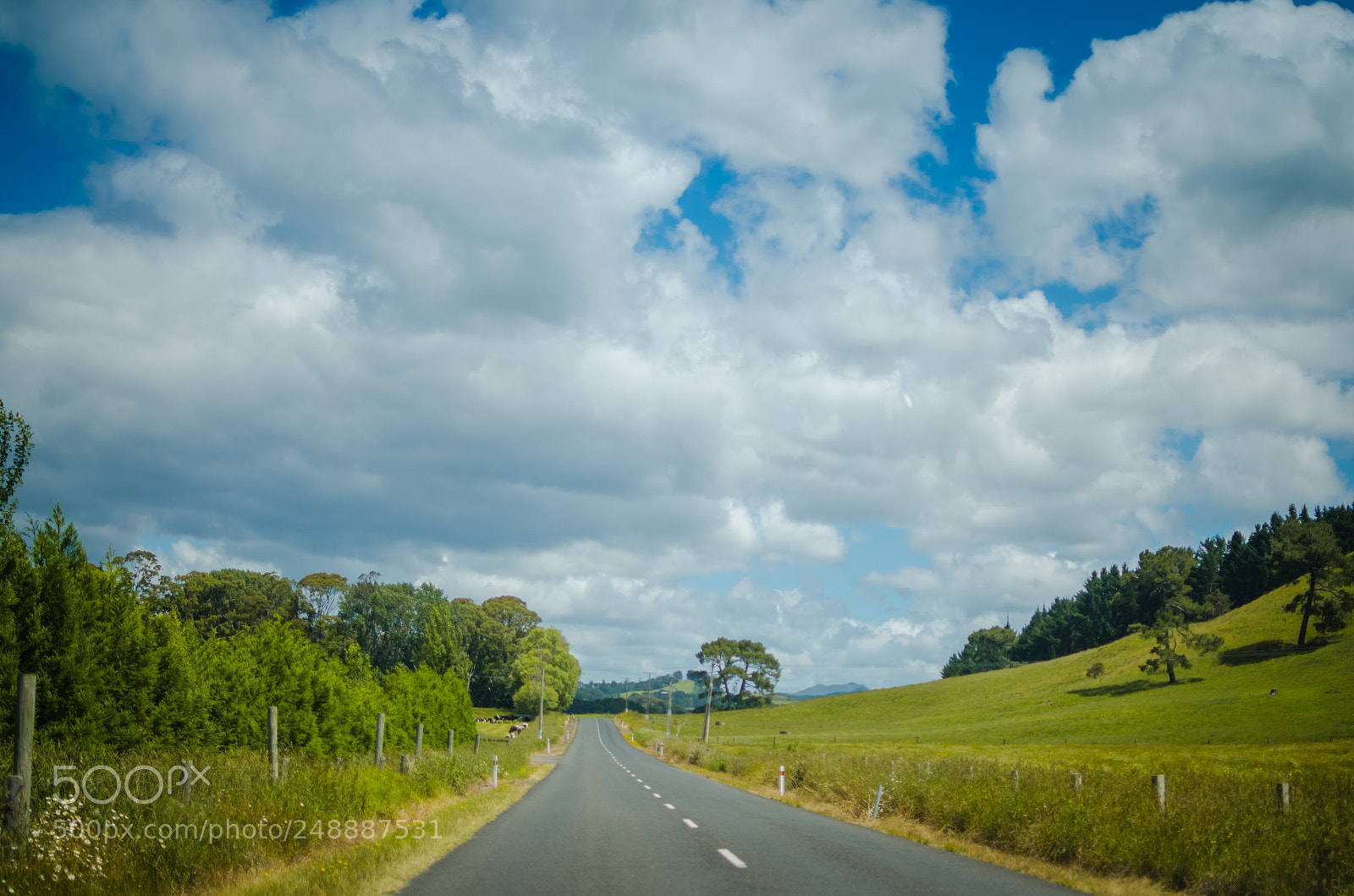 Nikon D7000 sample photo. On the way to photography