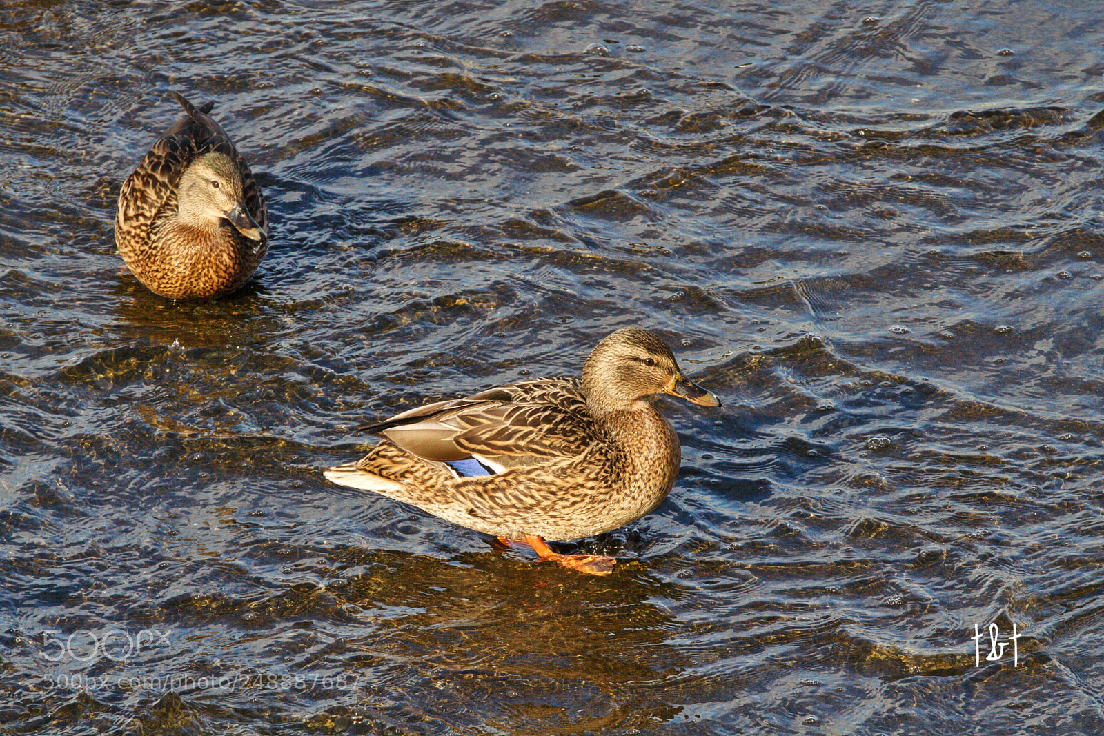 Canon EOS 7D sample photo. Untitled photography