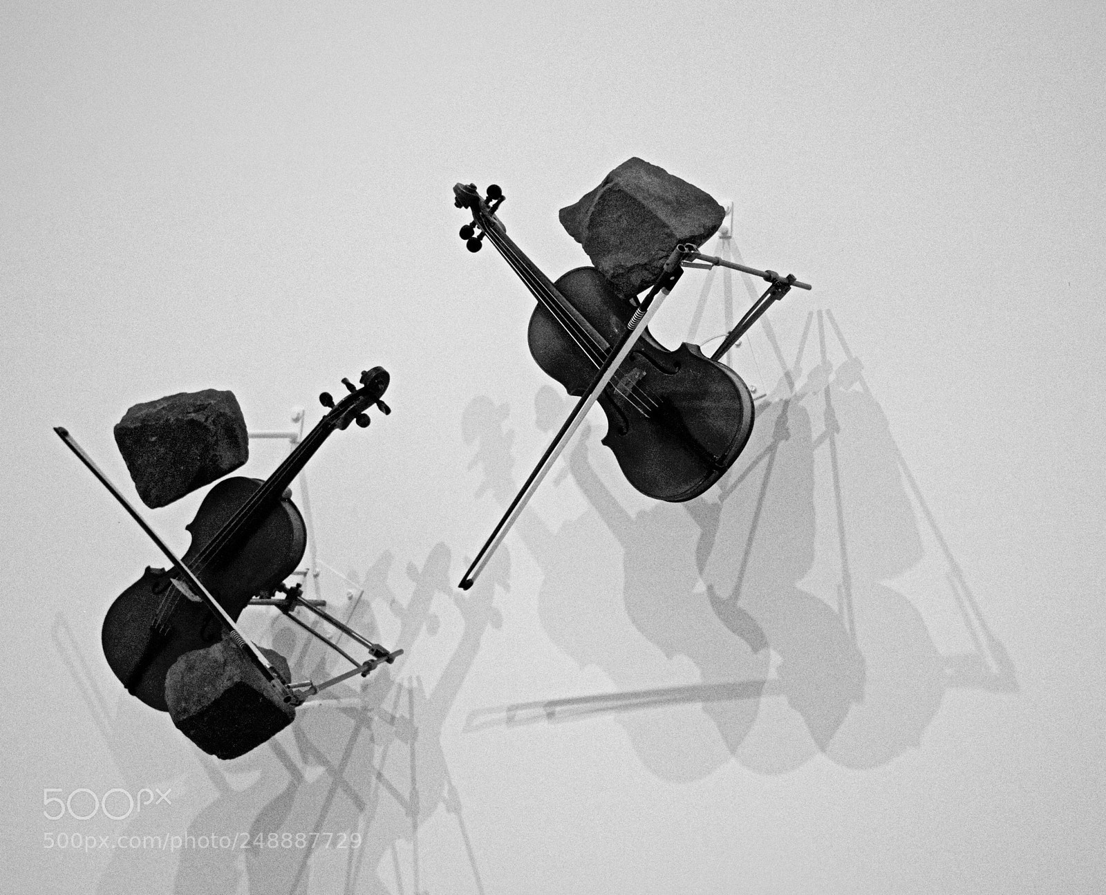 Nikon D810 sample photo. Moma san francisco photography