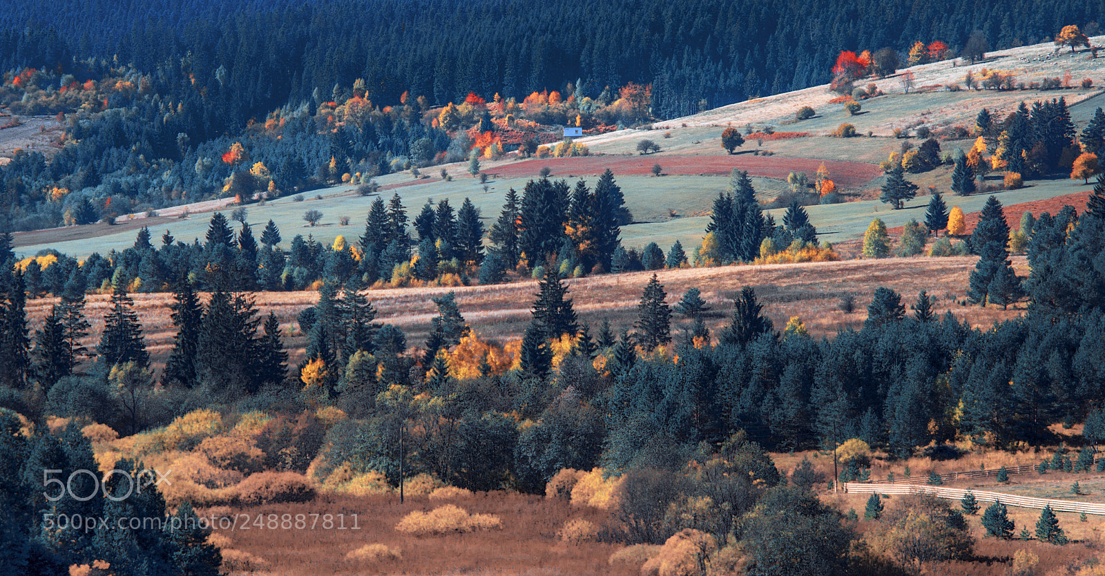 Nikon D610 sample photo. Countryside view photography