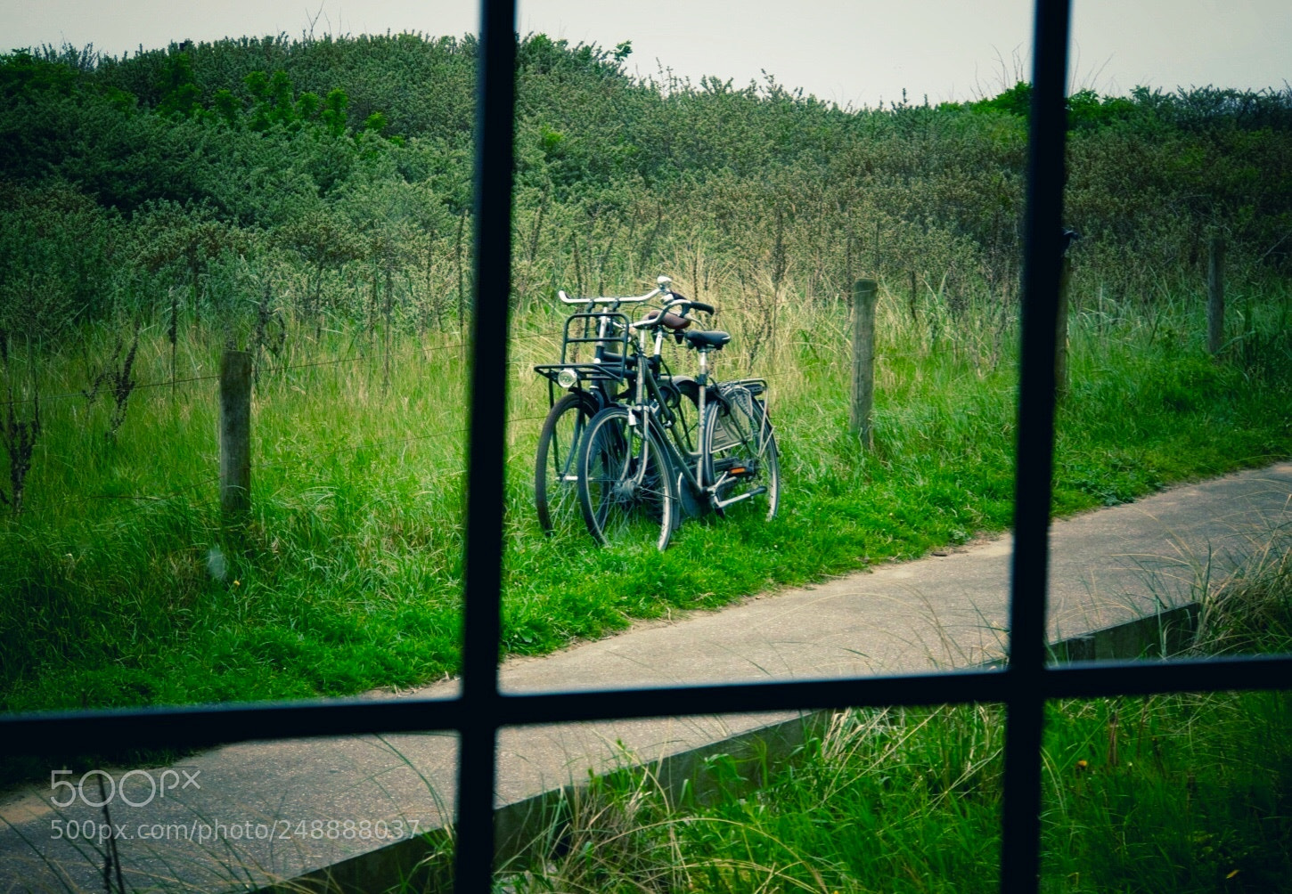 Sony Alpha NEX-7 sample photo. Bike path photography