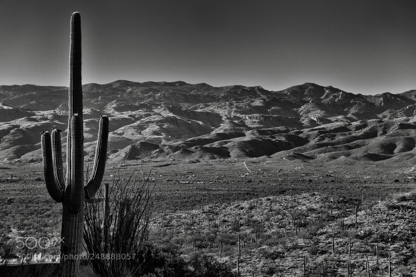 Nikon D800E sample photo. The lone sentinel photography