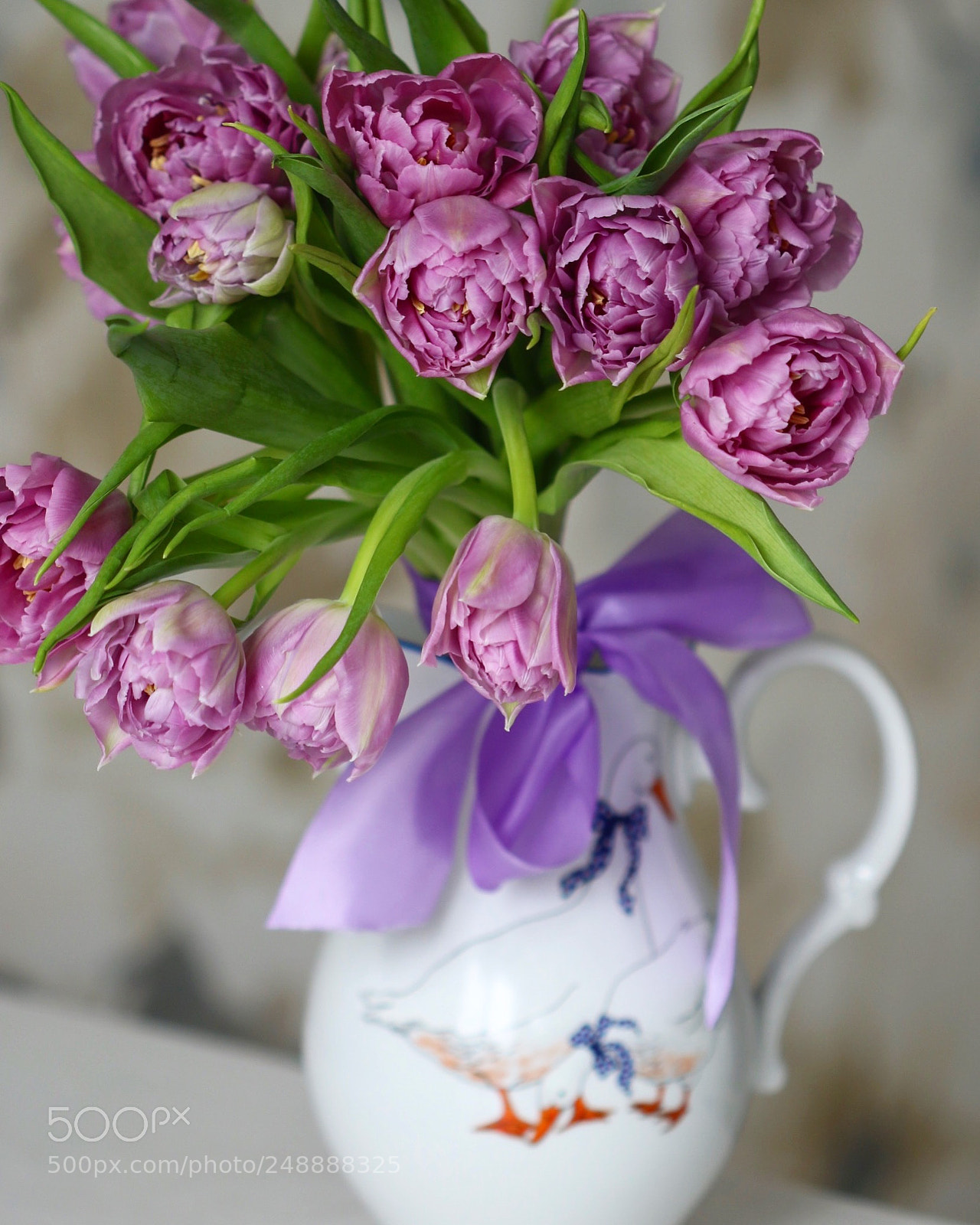 Canon EOS 7D Mark II sample photo. Untitled photography