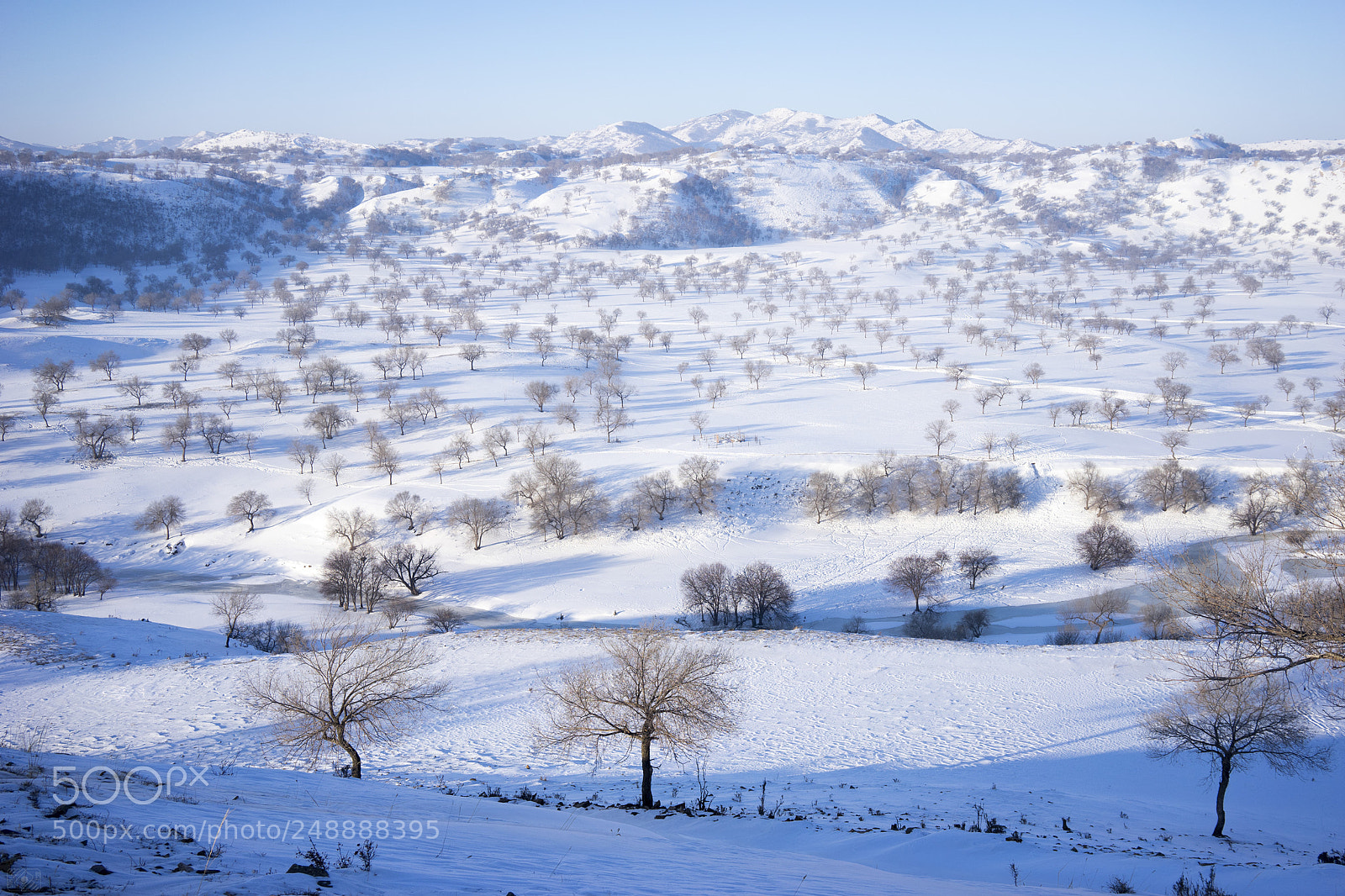 Sony a7 II sample photo. After the snow photography