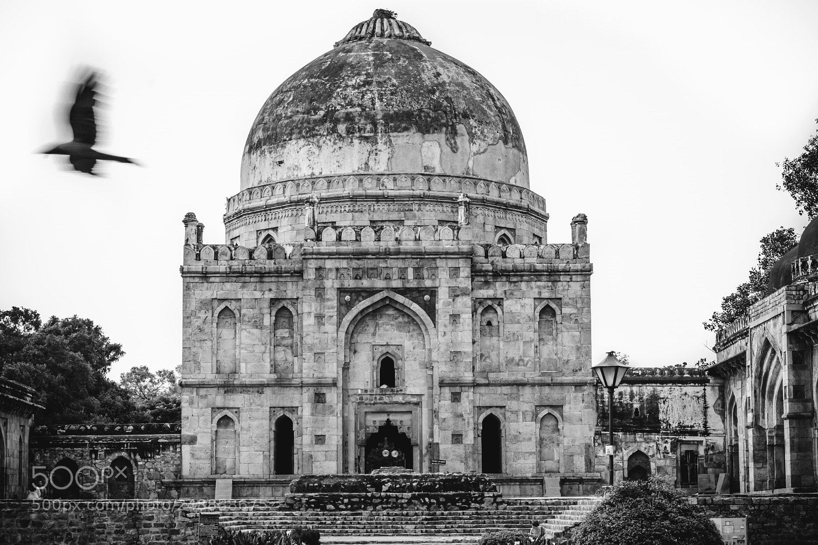 Nikon D5200 sample photo. Lodhi garden photography