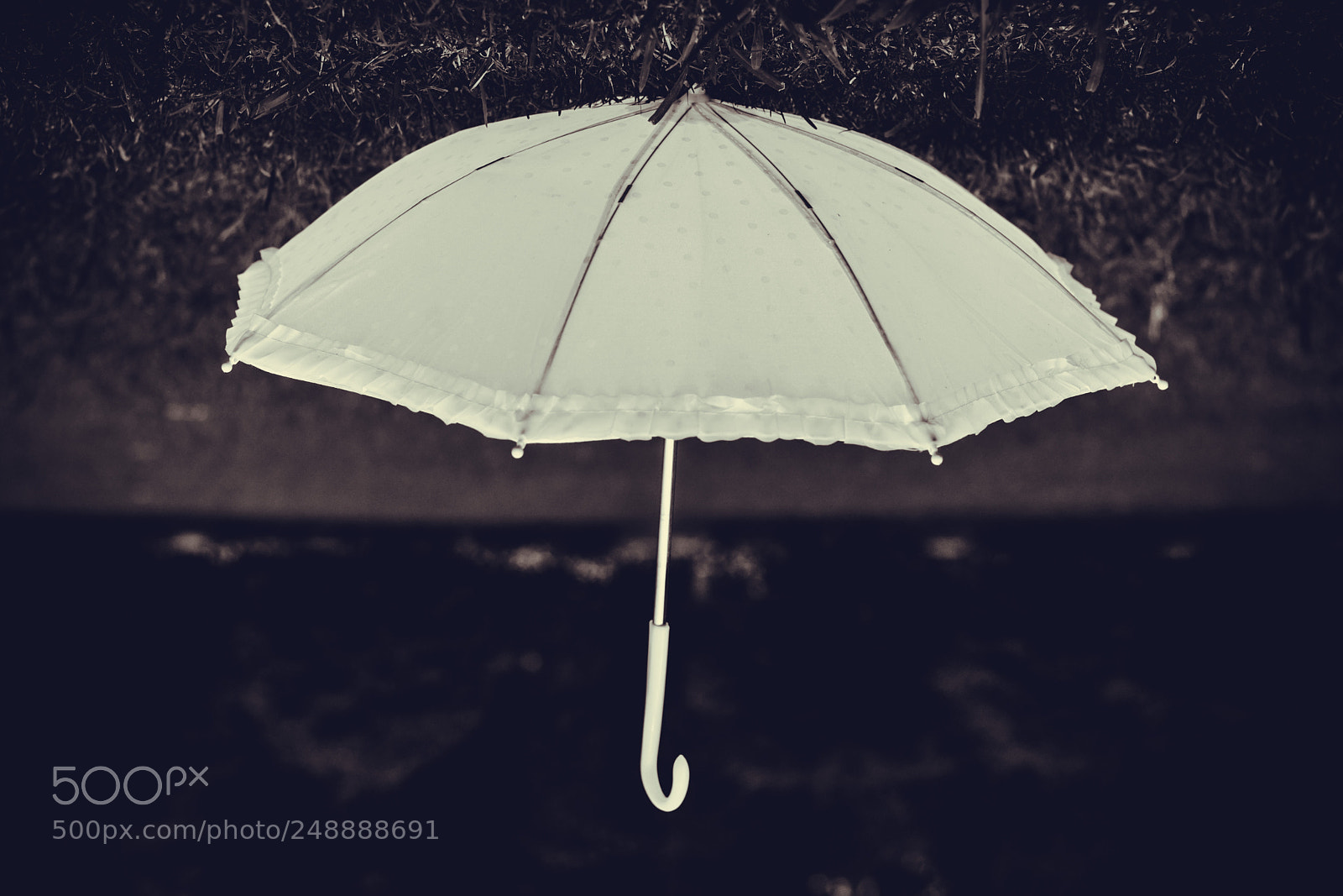 Nikon D5200 sample photo. Umbrella photography